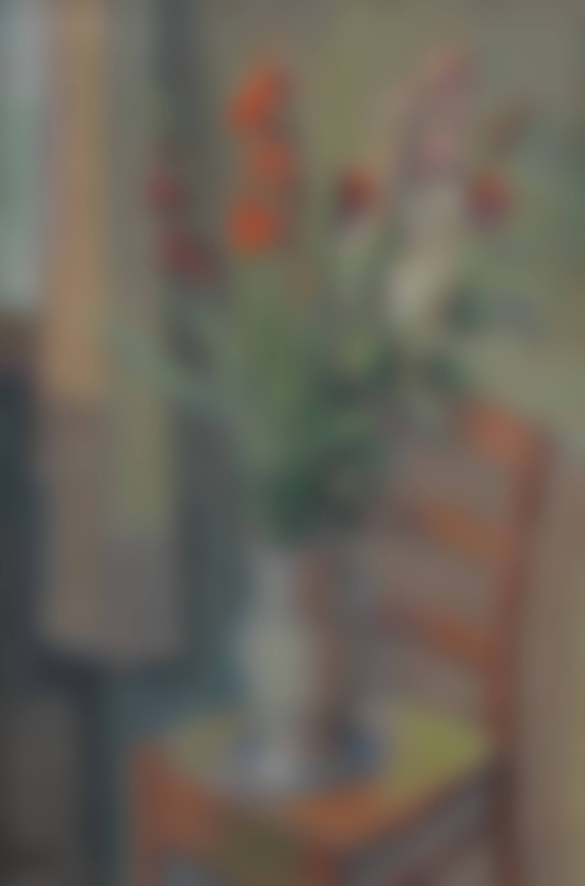 "Les glaïeuls" (preview)