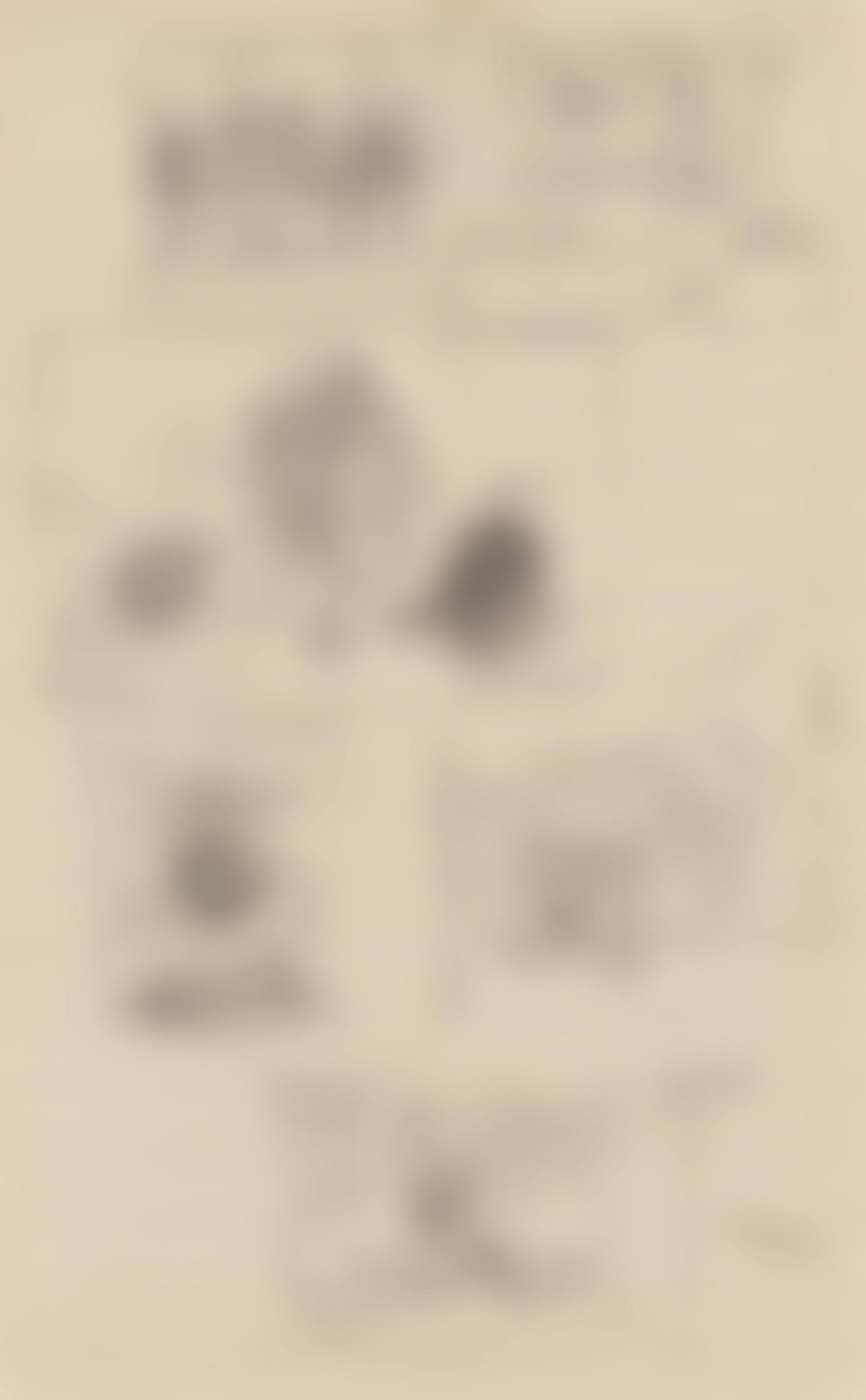 Sheet of studies (preview)