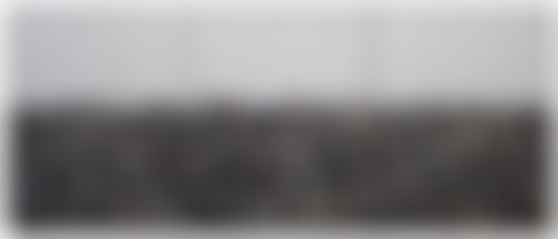 Foule (preview)
