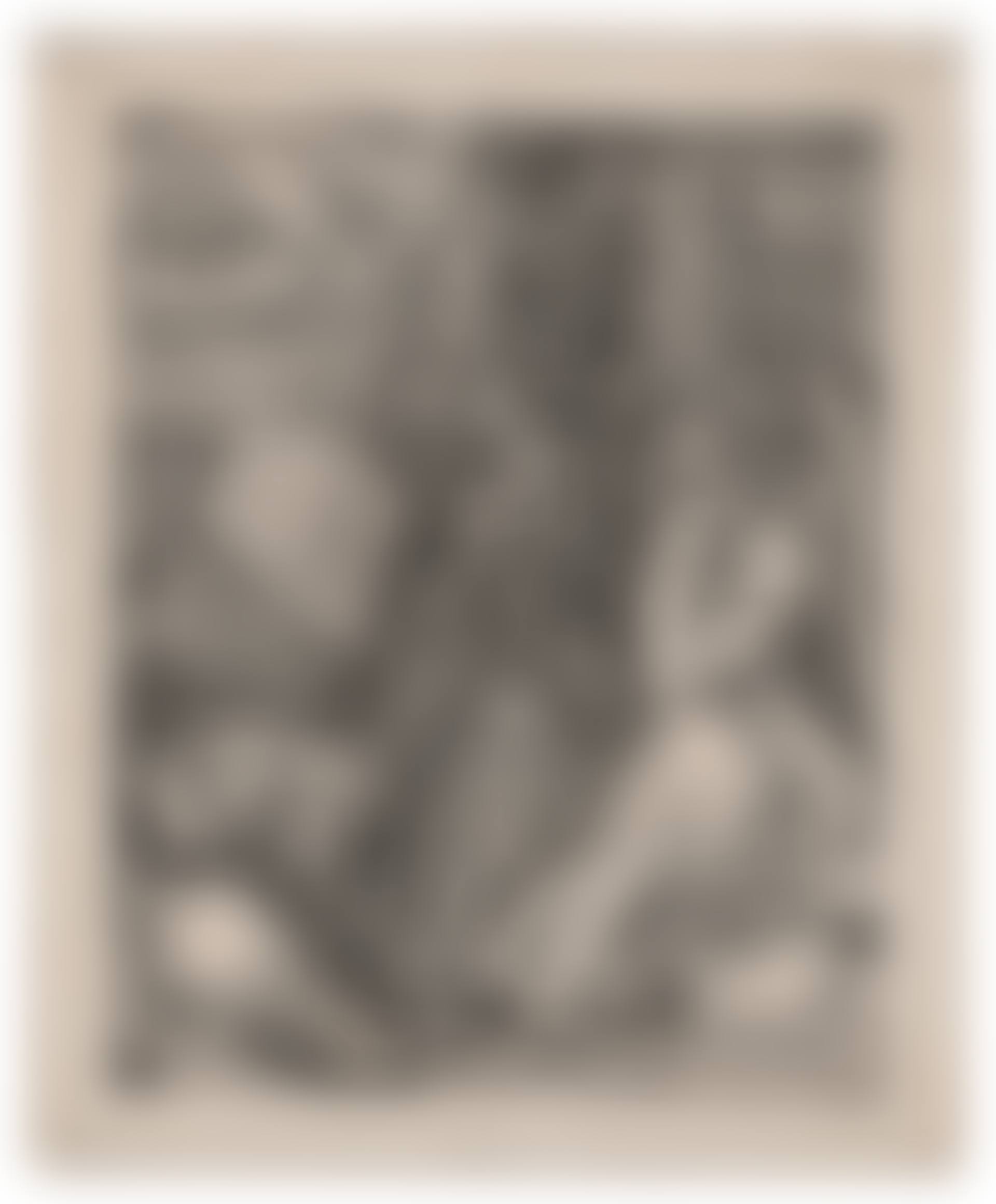 Melencolia I (preview)