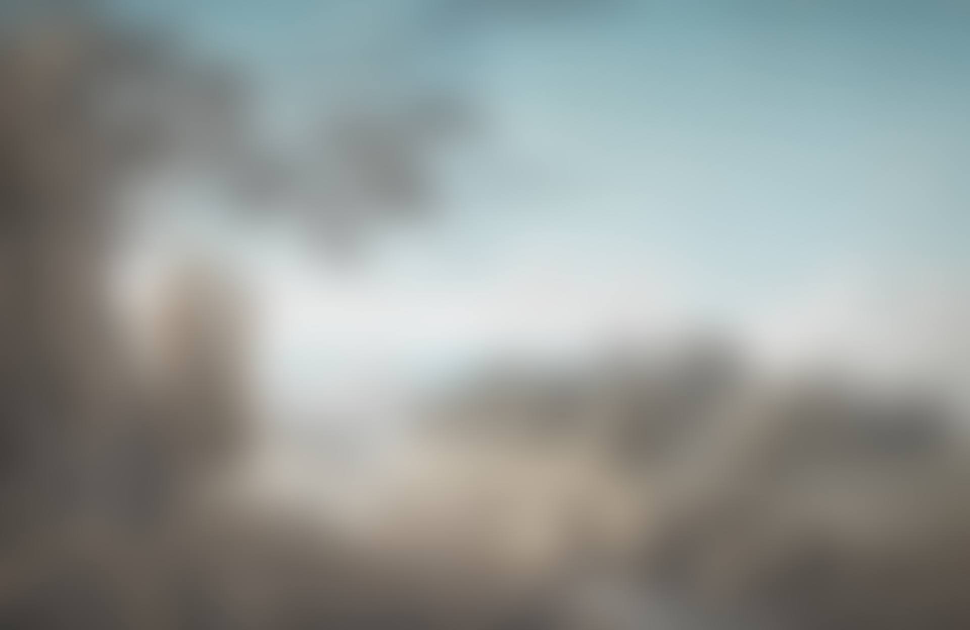 The Cedar Forests, Lebanon (preview)