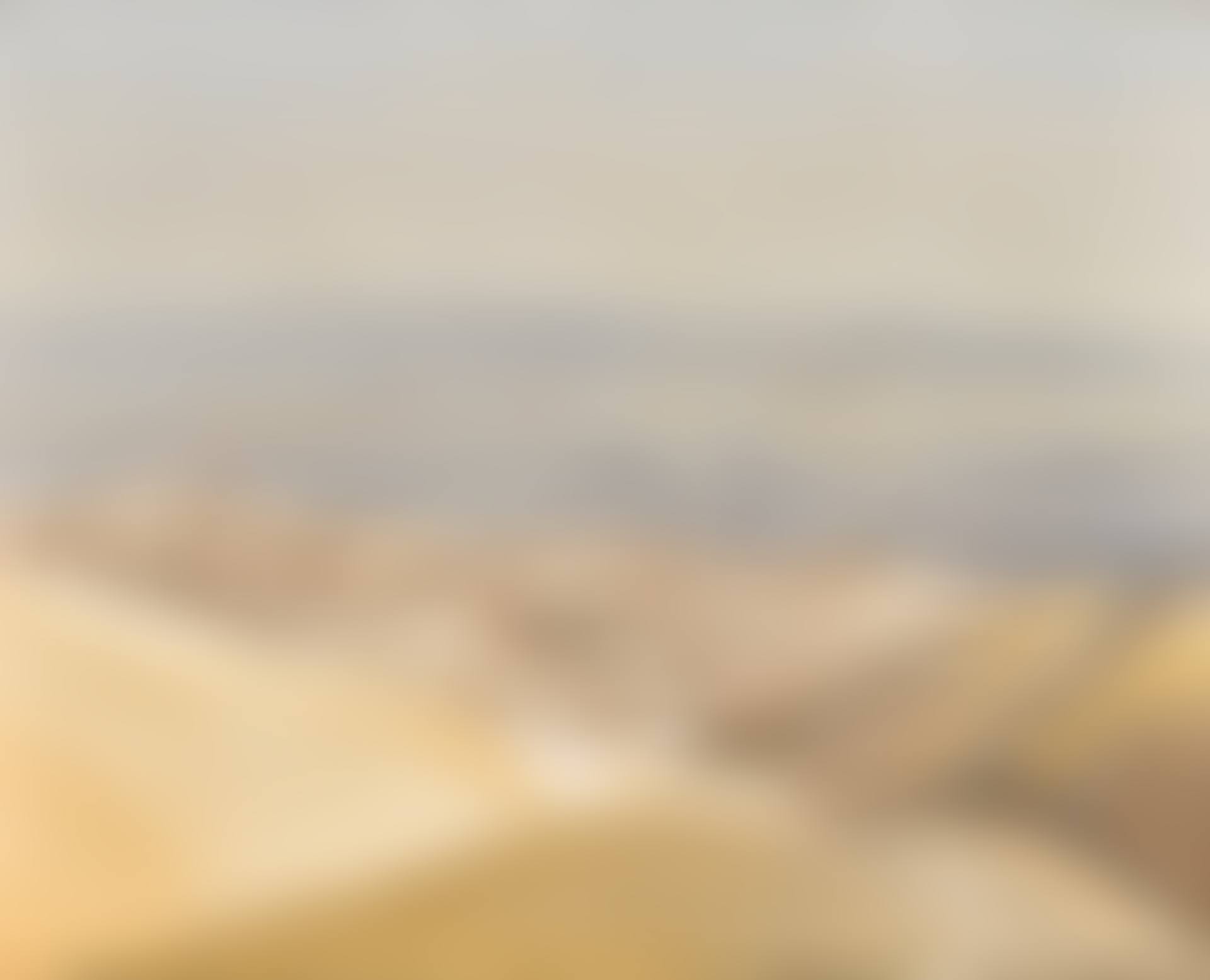 View in Palestine (preview)