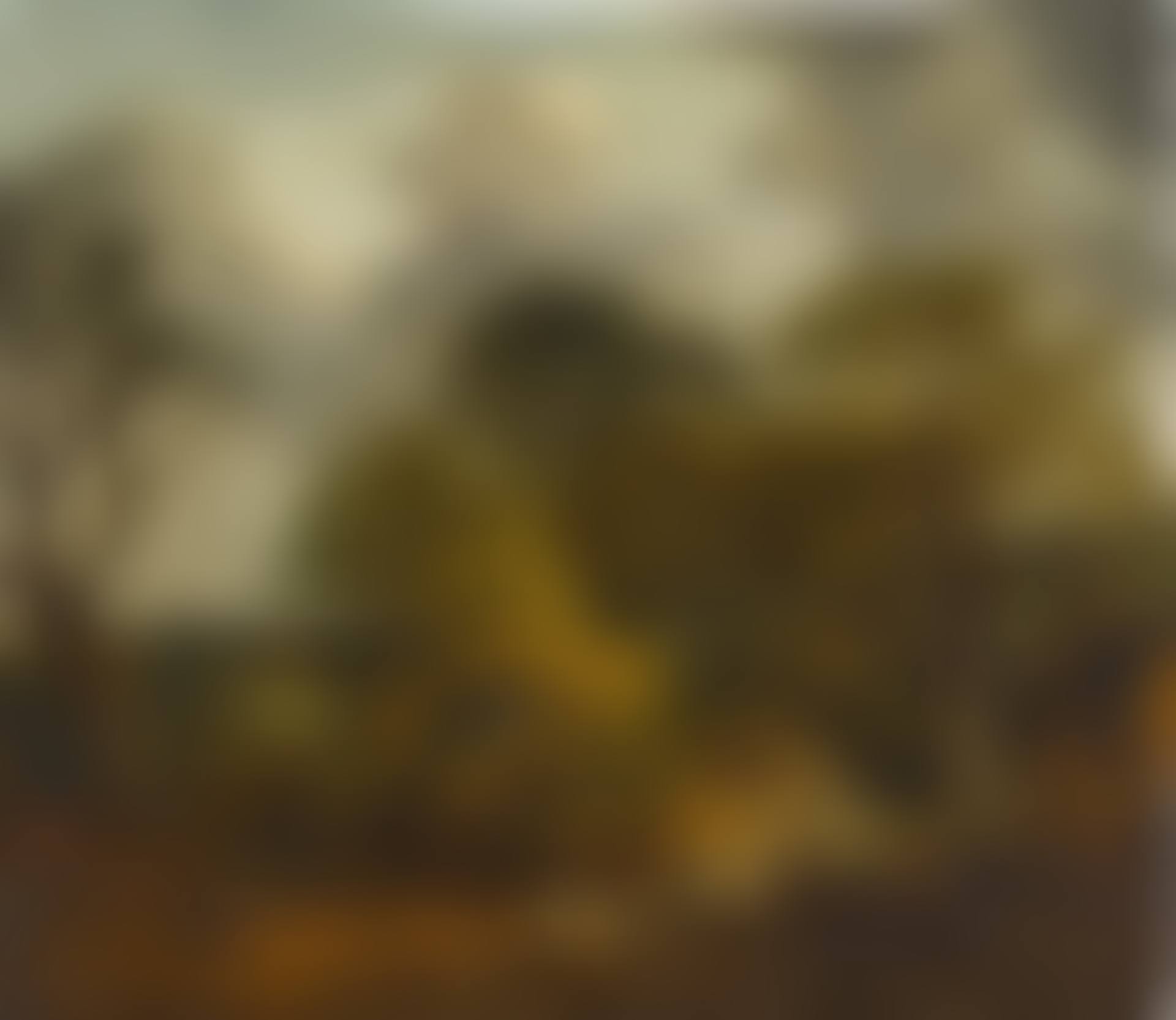 A wooded landscape in Suffolk (preview)