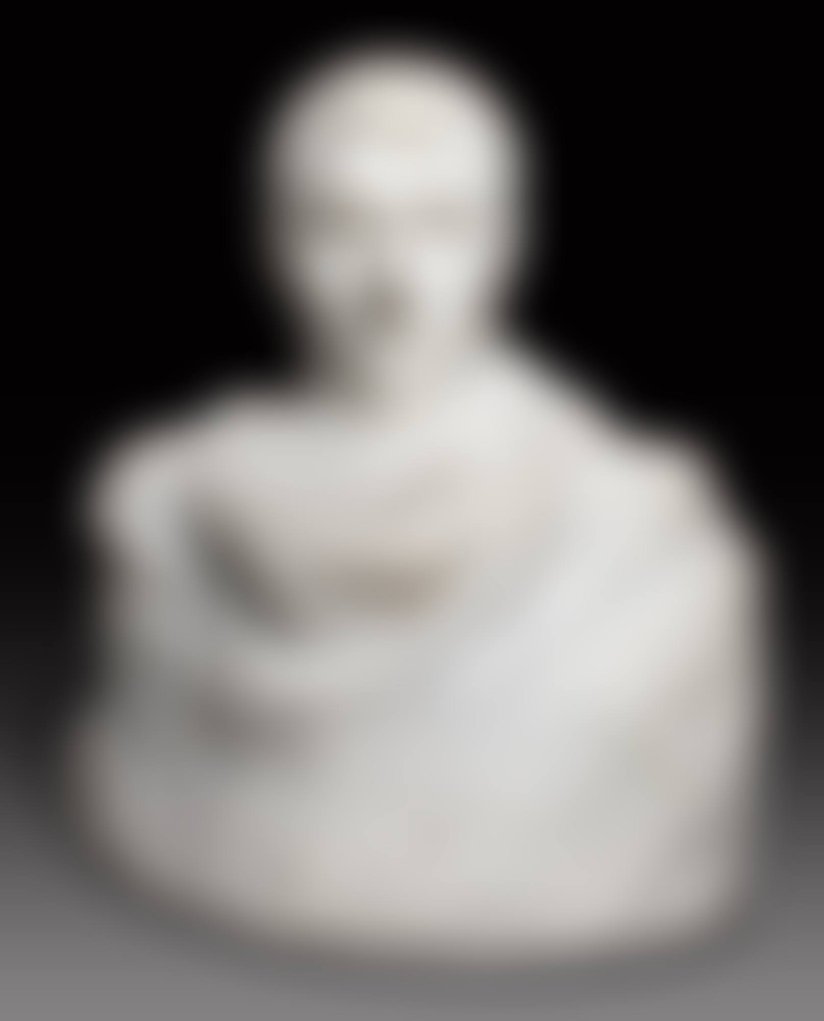 Napoléon Enveloppé dans Son Réve (preview)