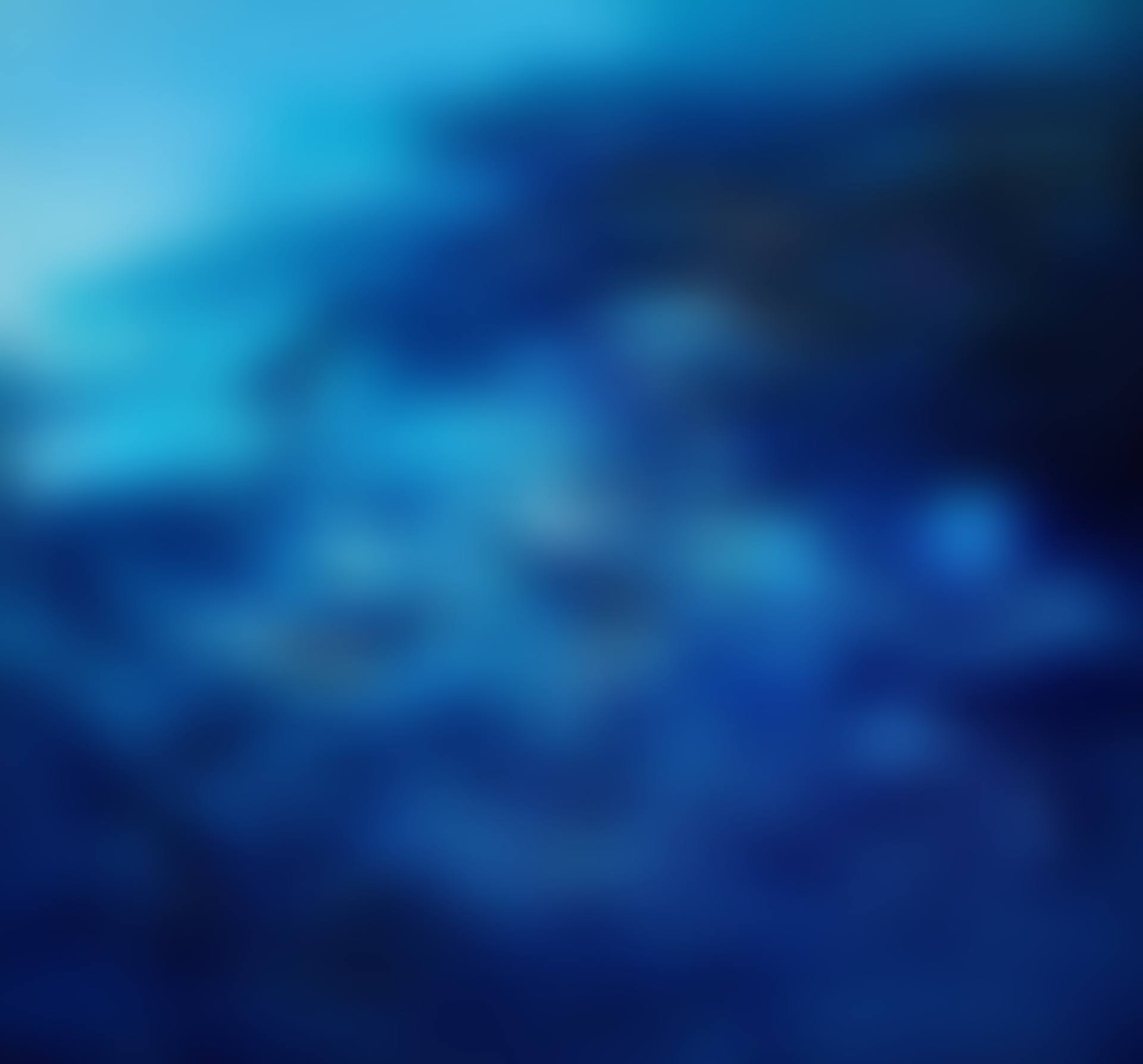 30.09.65 (preview)