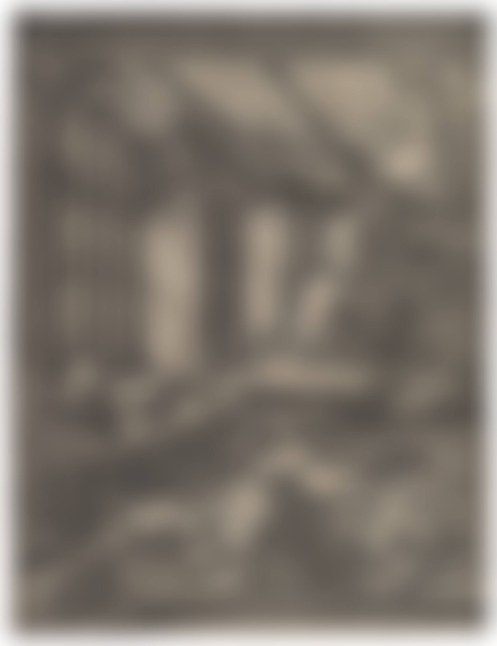 Saint Jerome in his Study (preview)