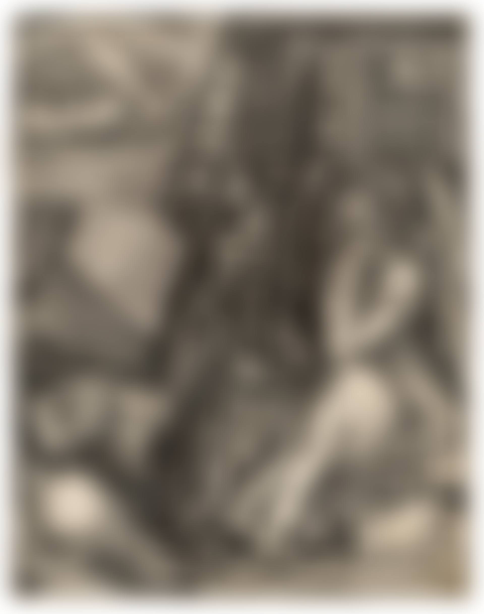 Melencolia I (preview)