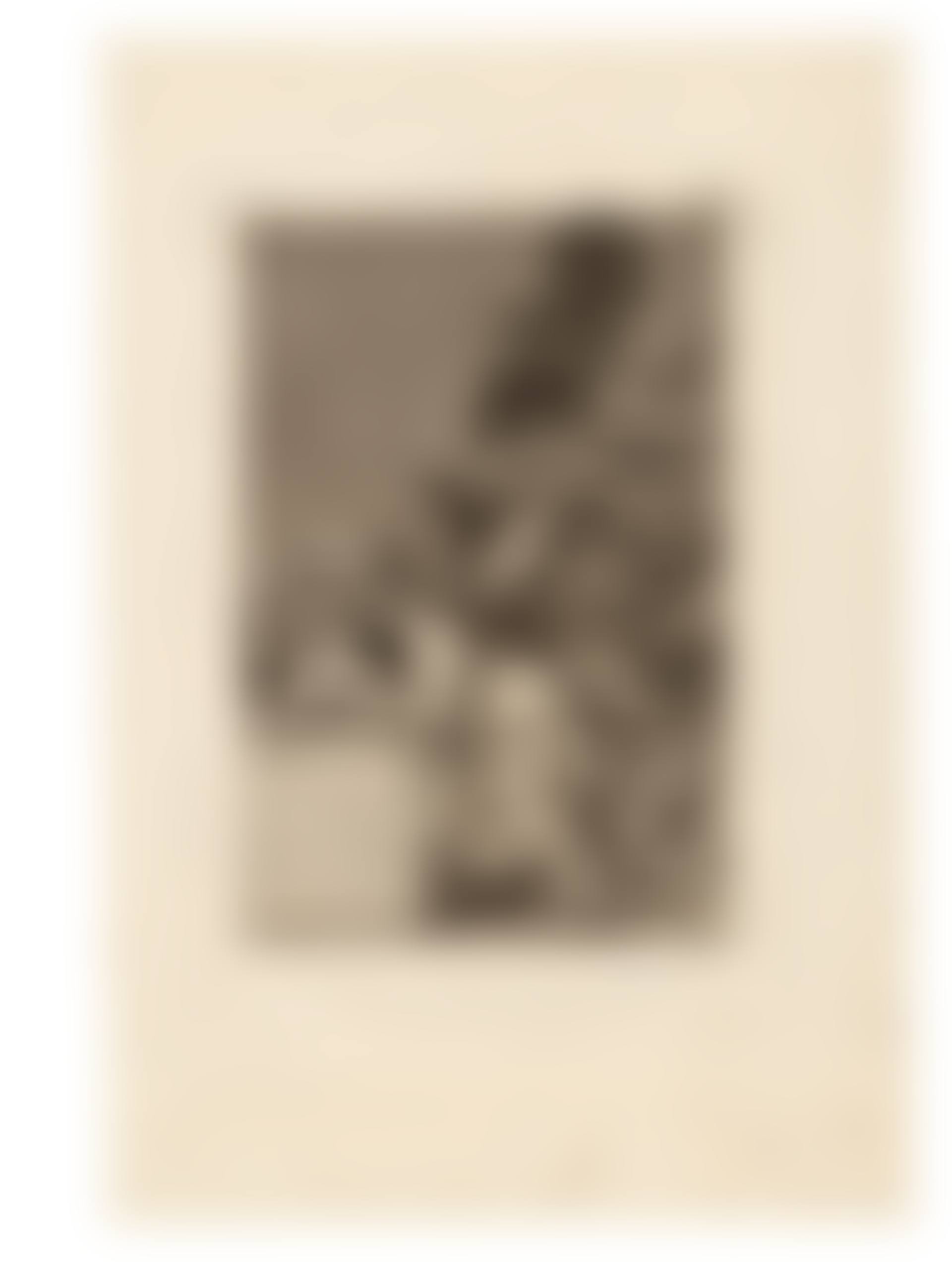 Los Caprichos (preview)
