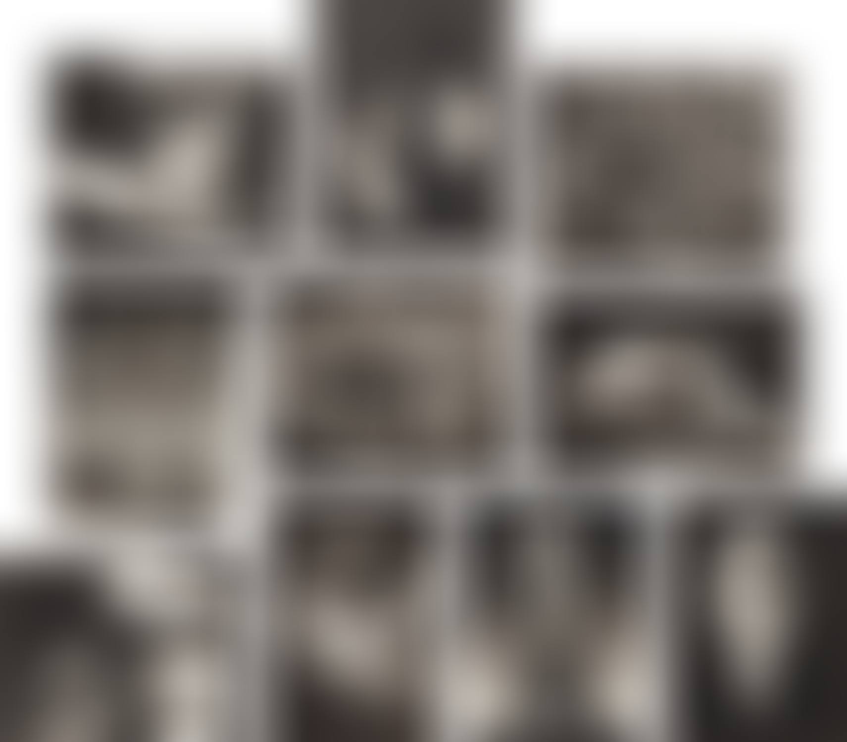 Gift of the Commonplace (preview)
