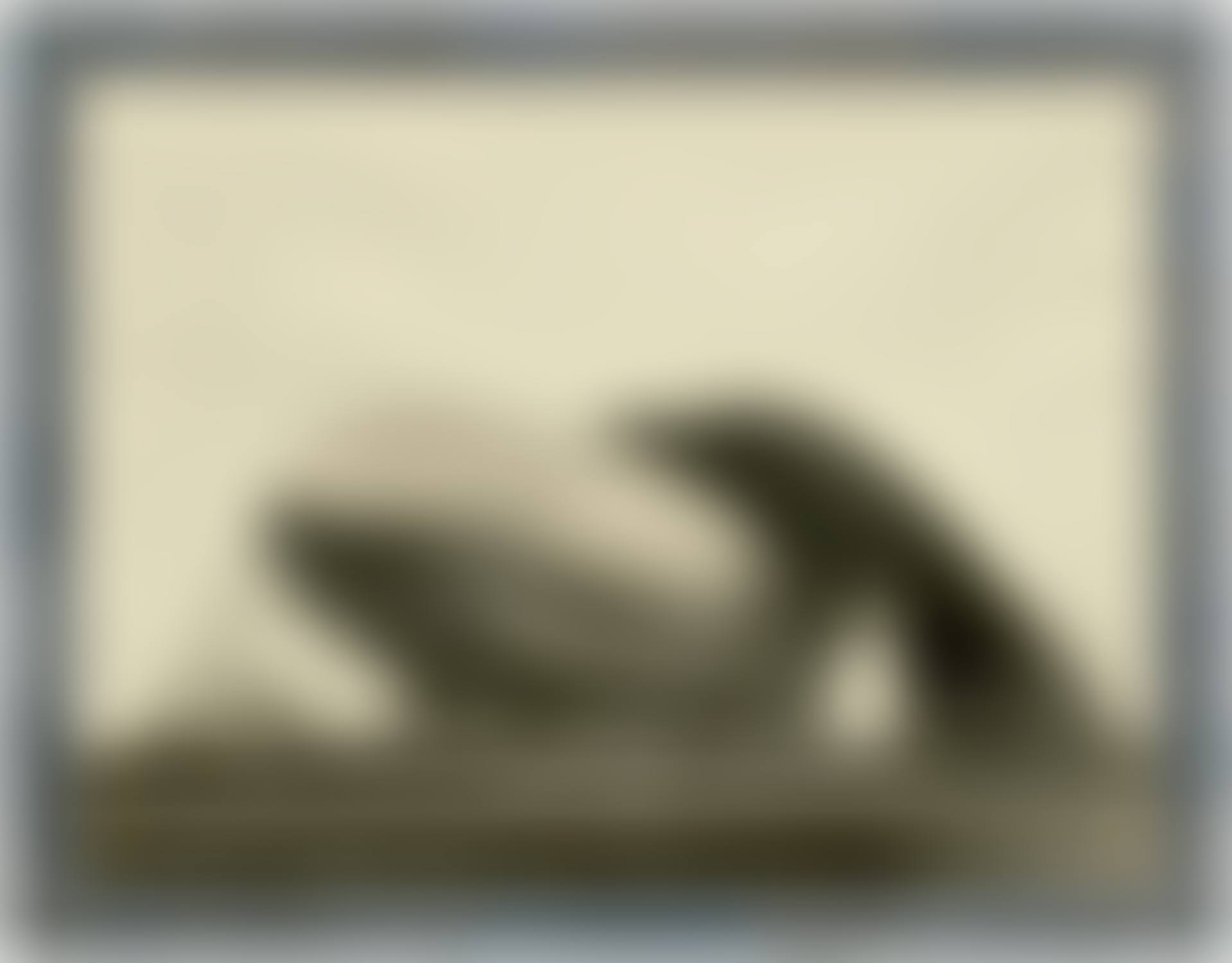 Goodyear Zeppelin, United States Airship Akron (preview)