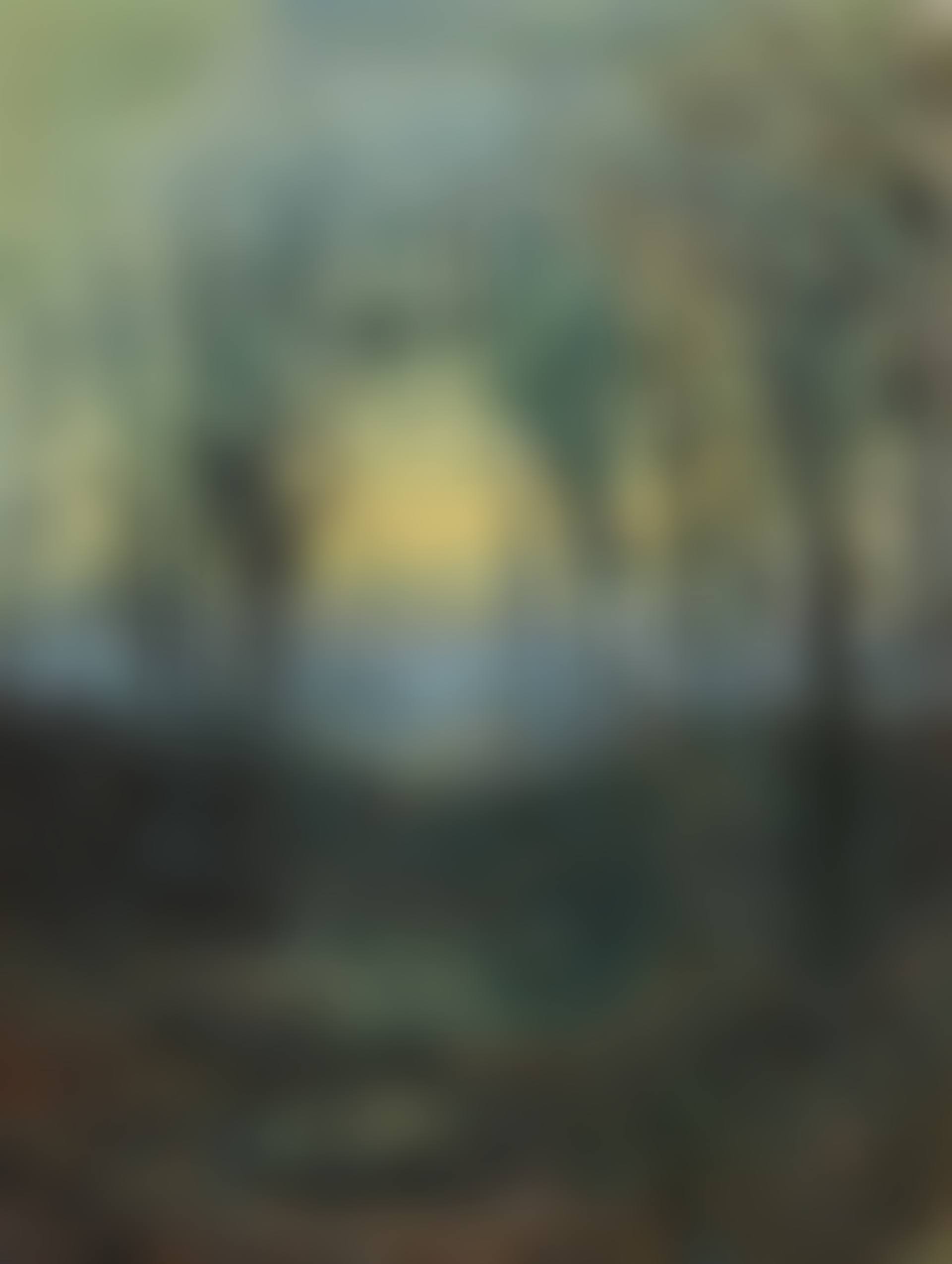 Lovers in a wood (preview)