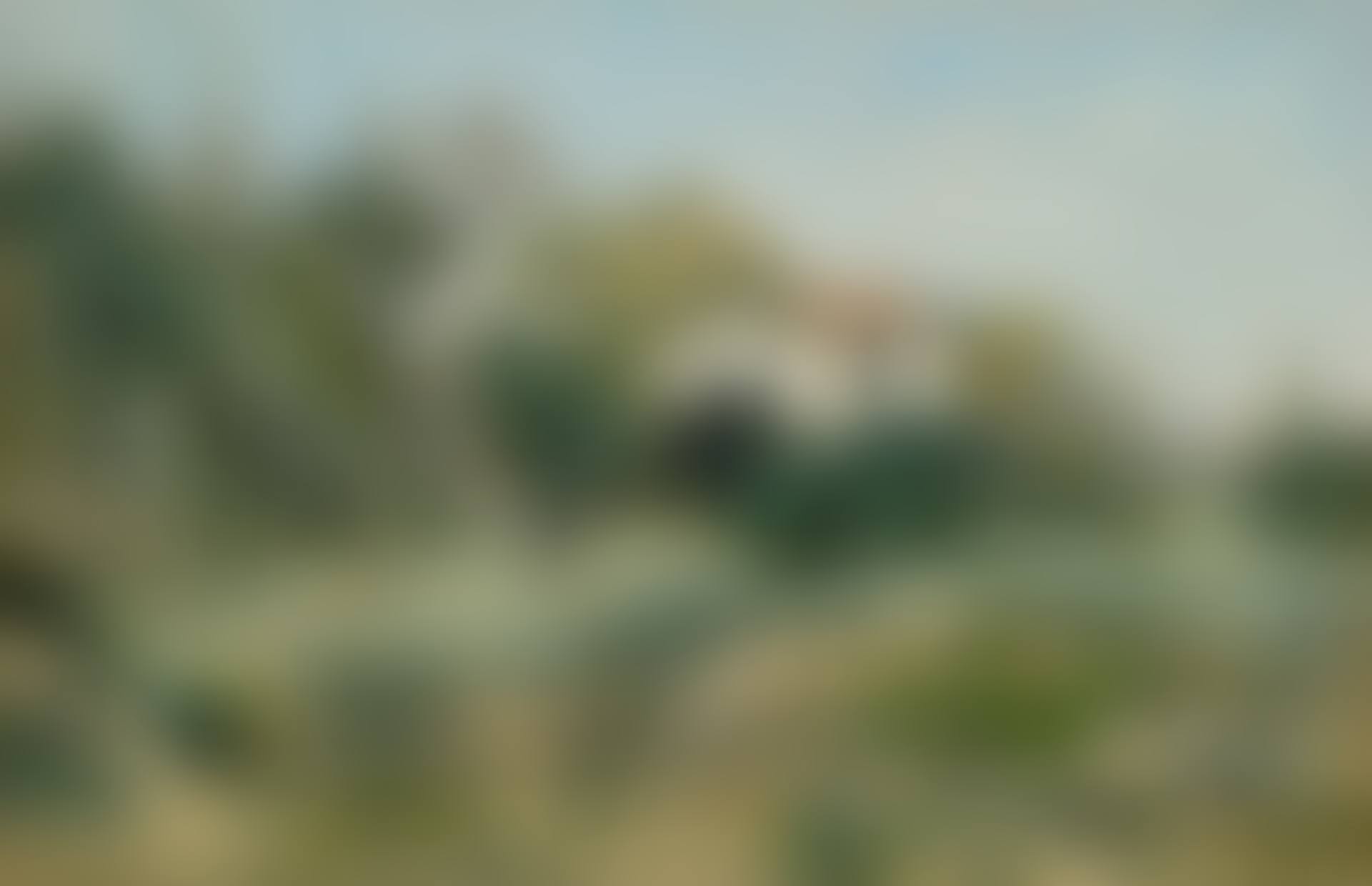 La Maison Blanche, Bois de Meudon (preview)