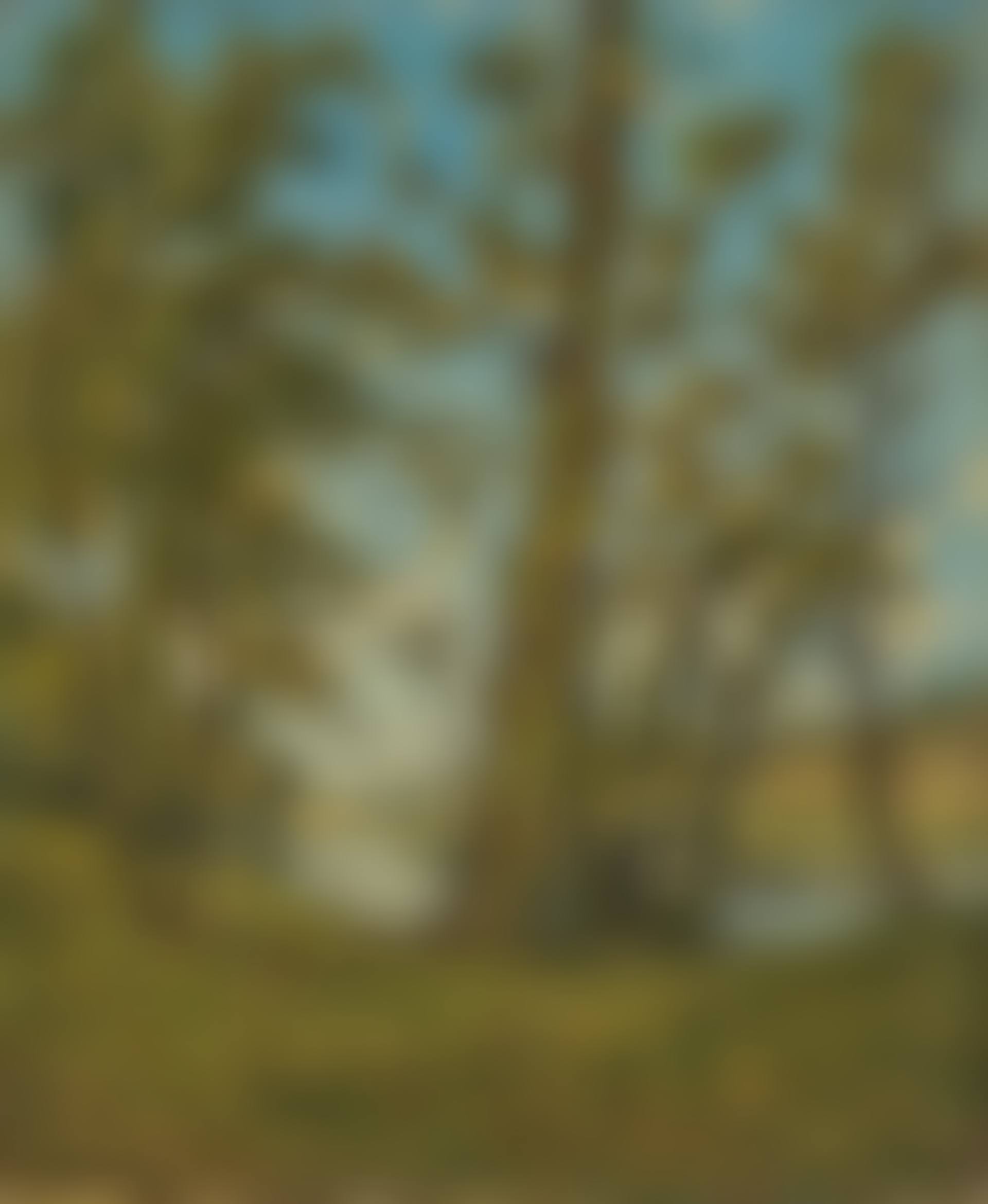 La Loire à Bonny (preview)
