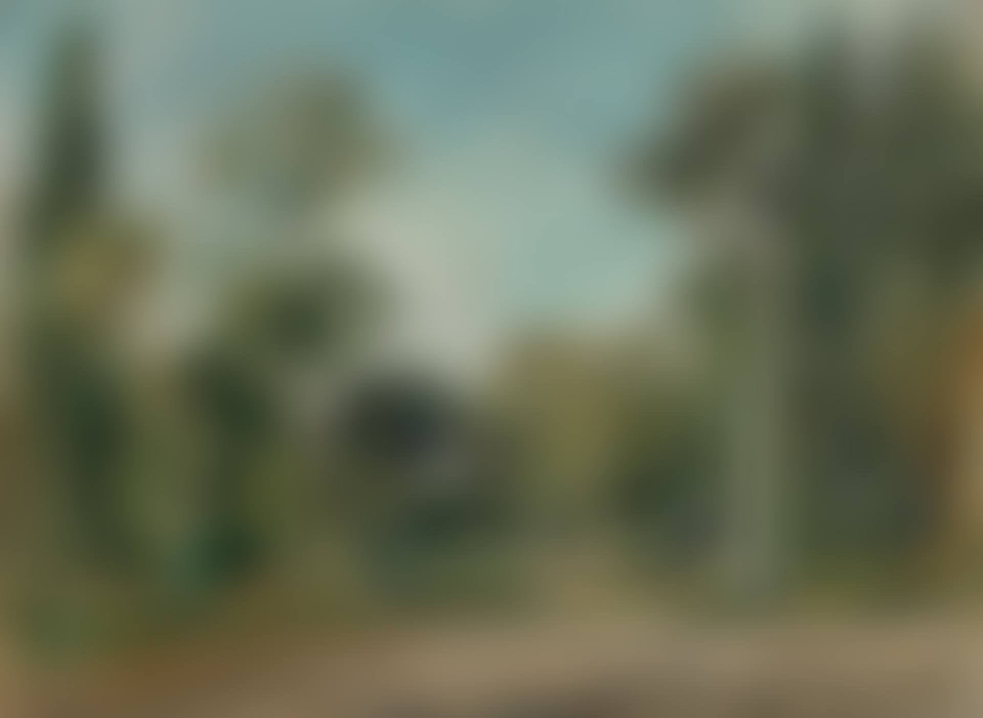 Paysage boisé (preview)