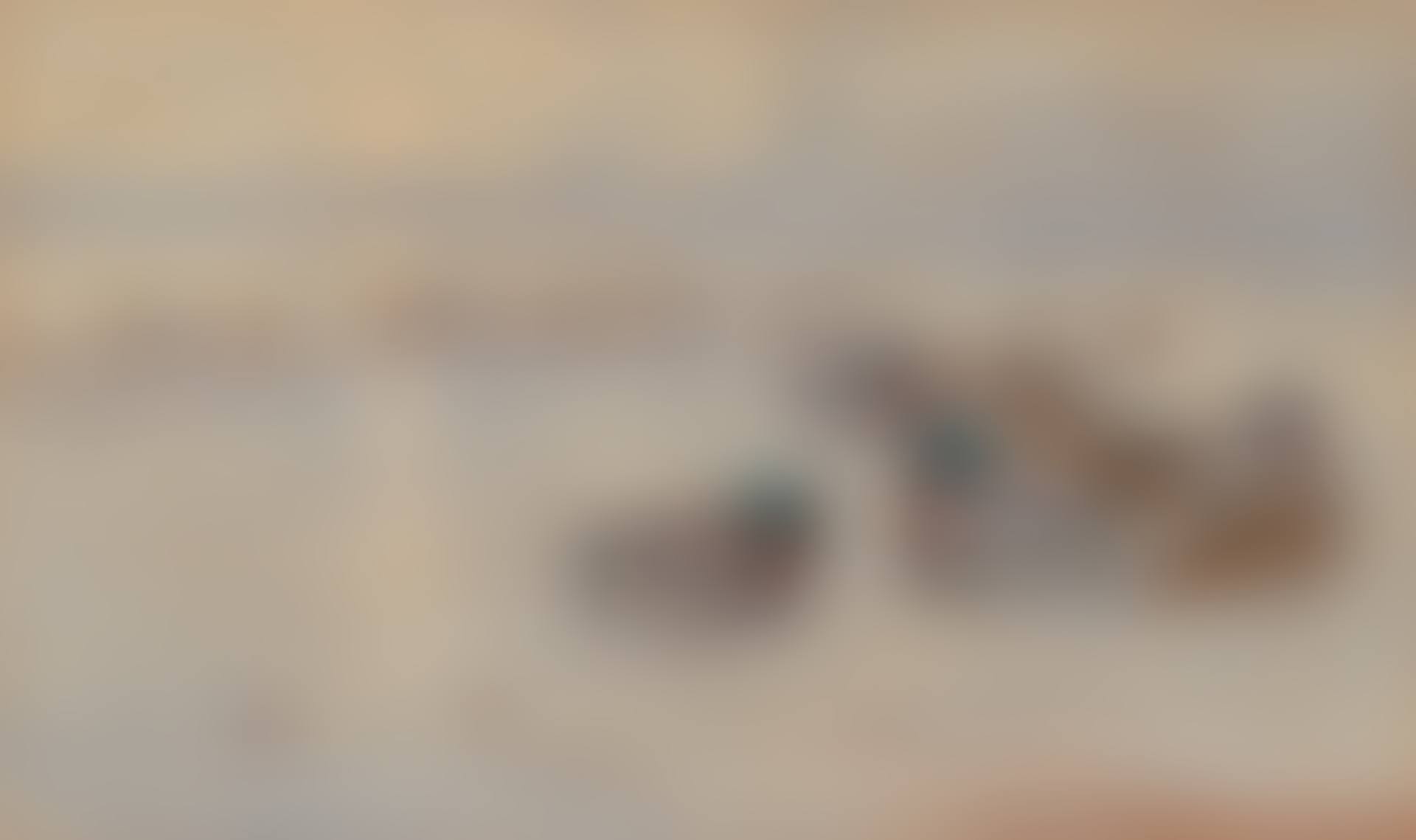 Mallards on a lake (preview)
