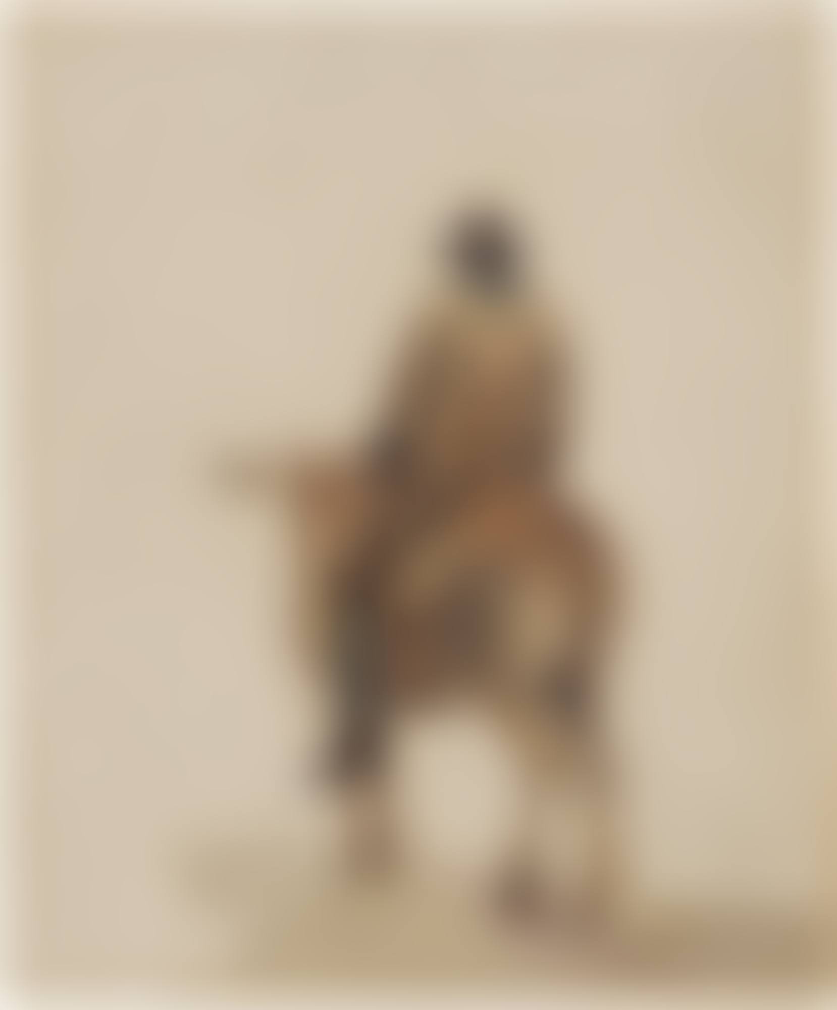 A farmer riding a donkey (preview)