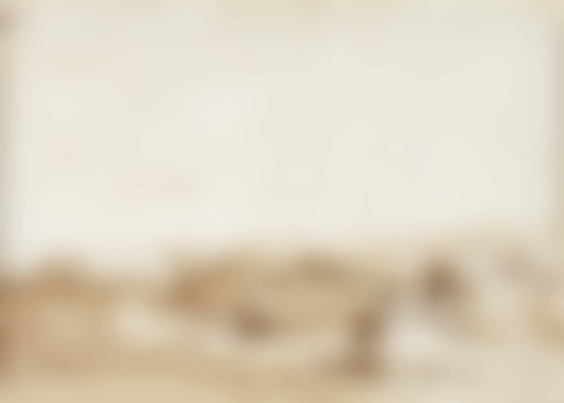 Figures on a rocky shoreline (preview)