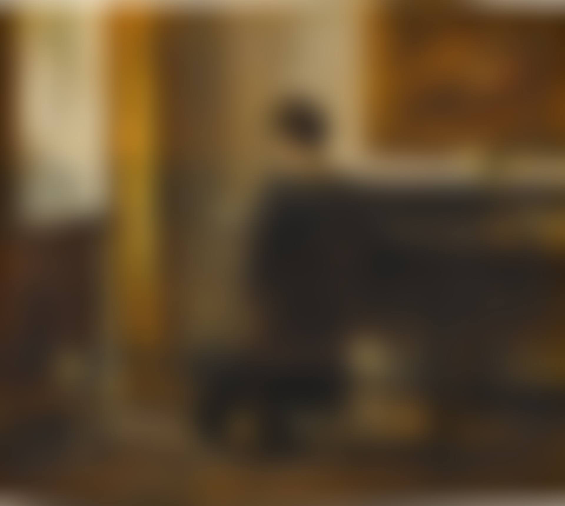 Lady Reading in an Interior (preview)