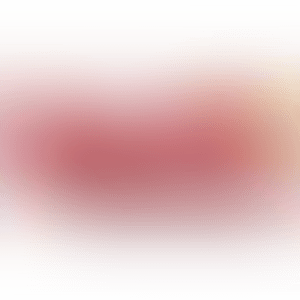 24 Hours: 13:00hrs (preview)