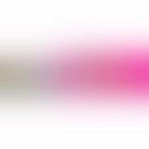 1. SPONGEBOB DECONSTRUCTED／2. DECONSTRUCTED PIG (preview)