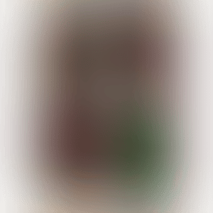 The Arnolfini Portrait (preview)
