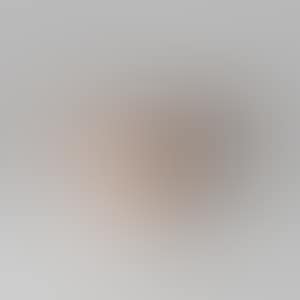 Silver ash-glazed bowl (preview)