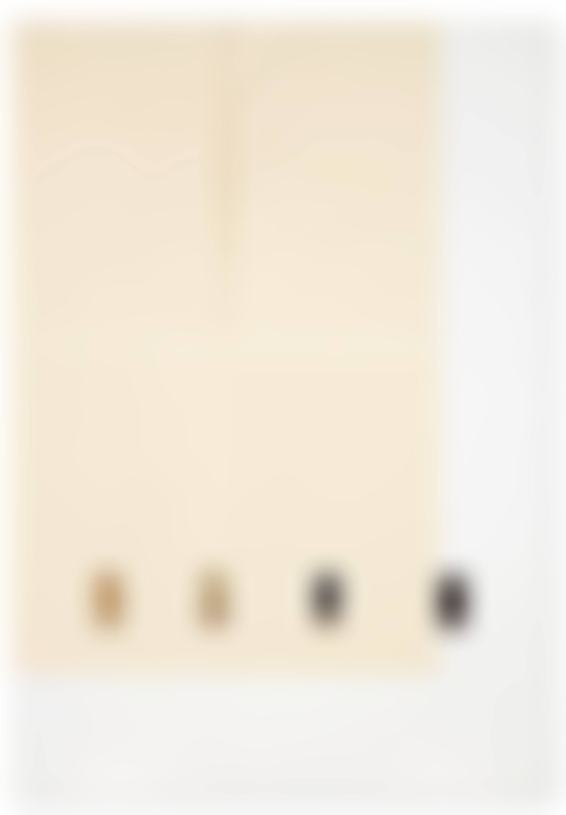 Whistler's Mother (preview)