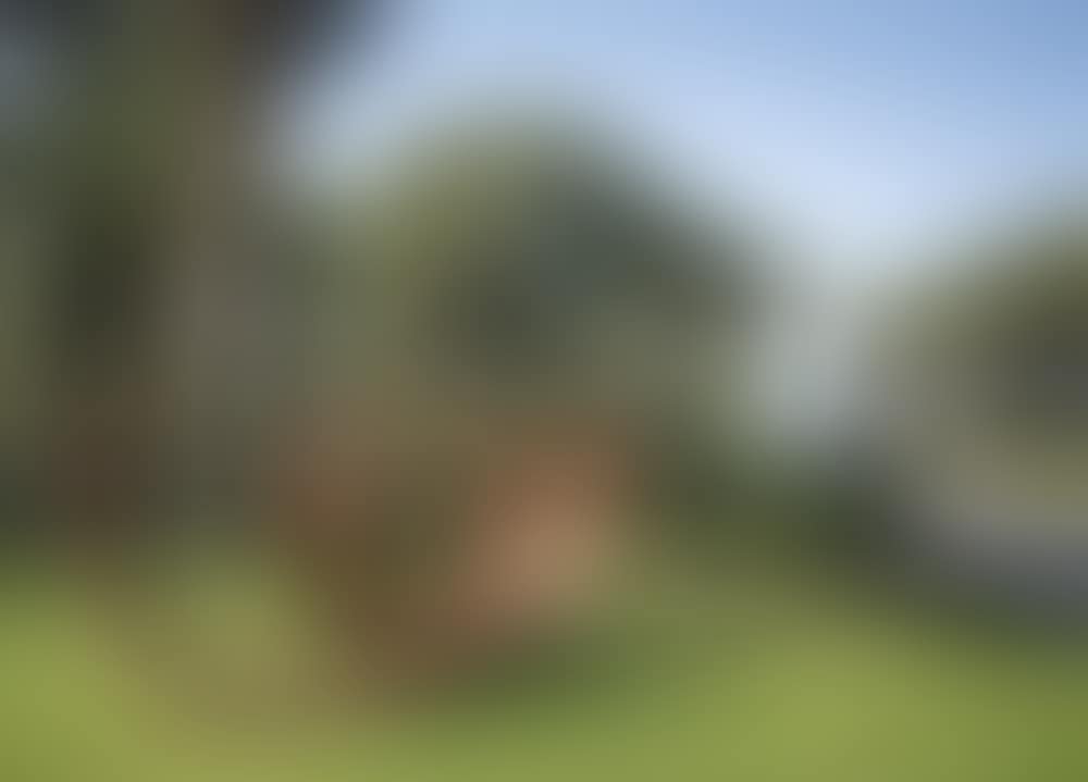 223.5° Arc x 14 (preview)