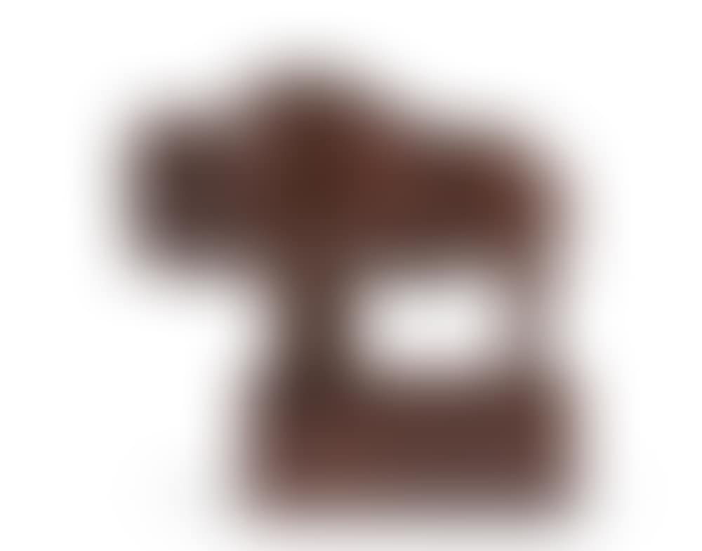 Bison américain (preview)