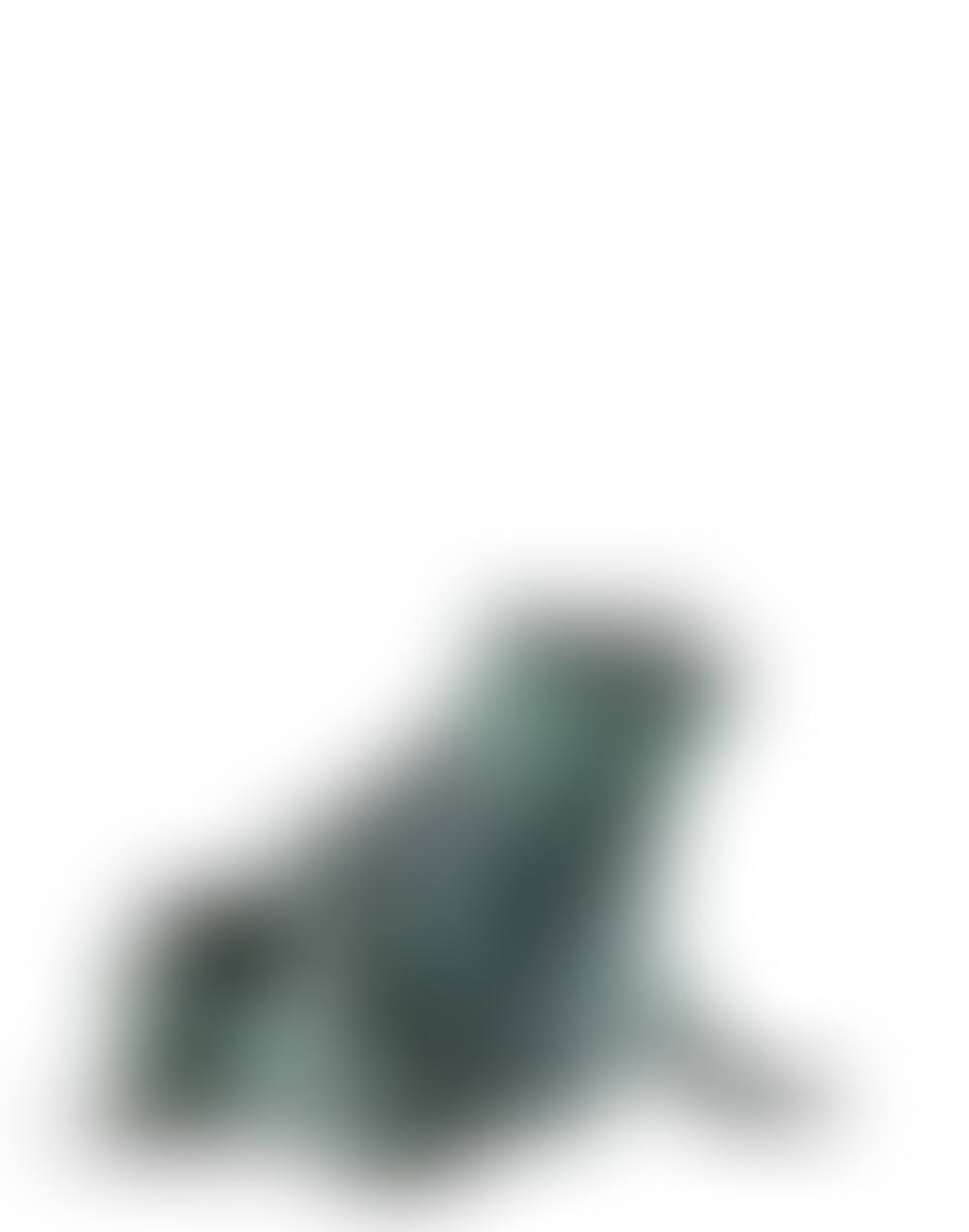 Grenouille Fontaine (preview)