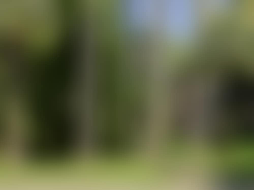 Napoléon (preview)