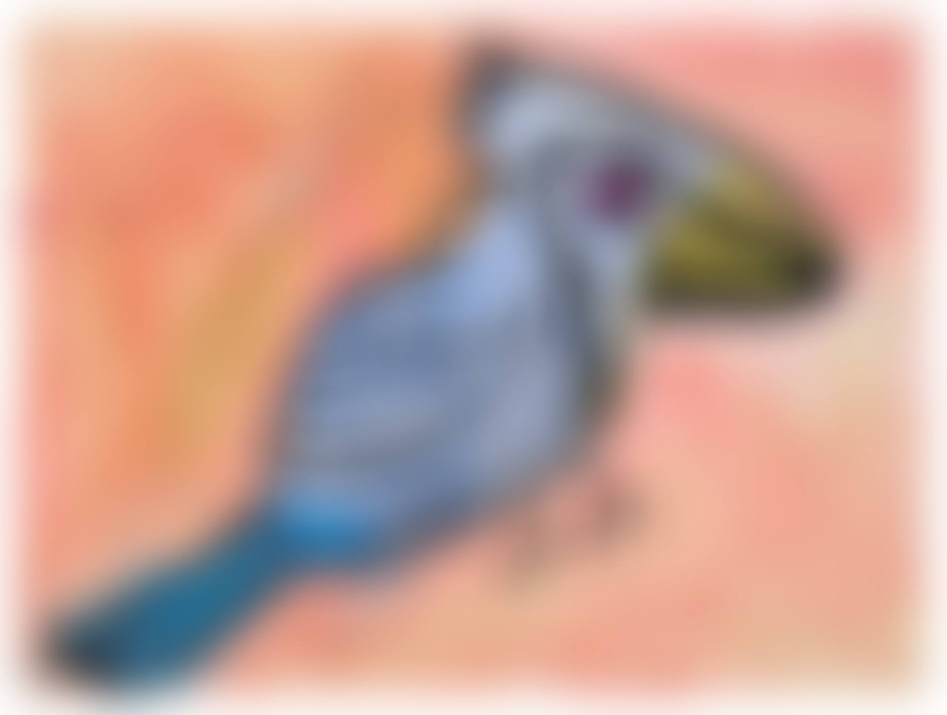 Untitled (preview)