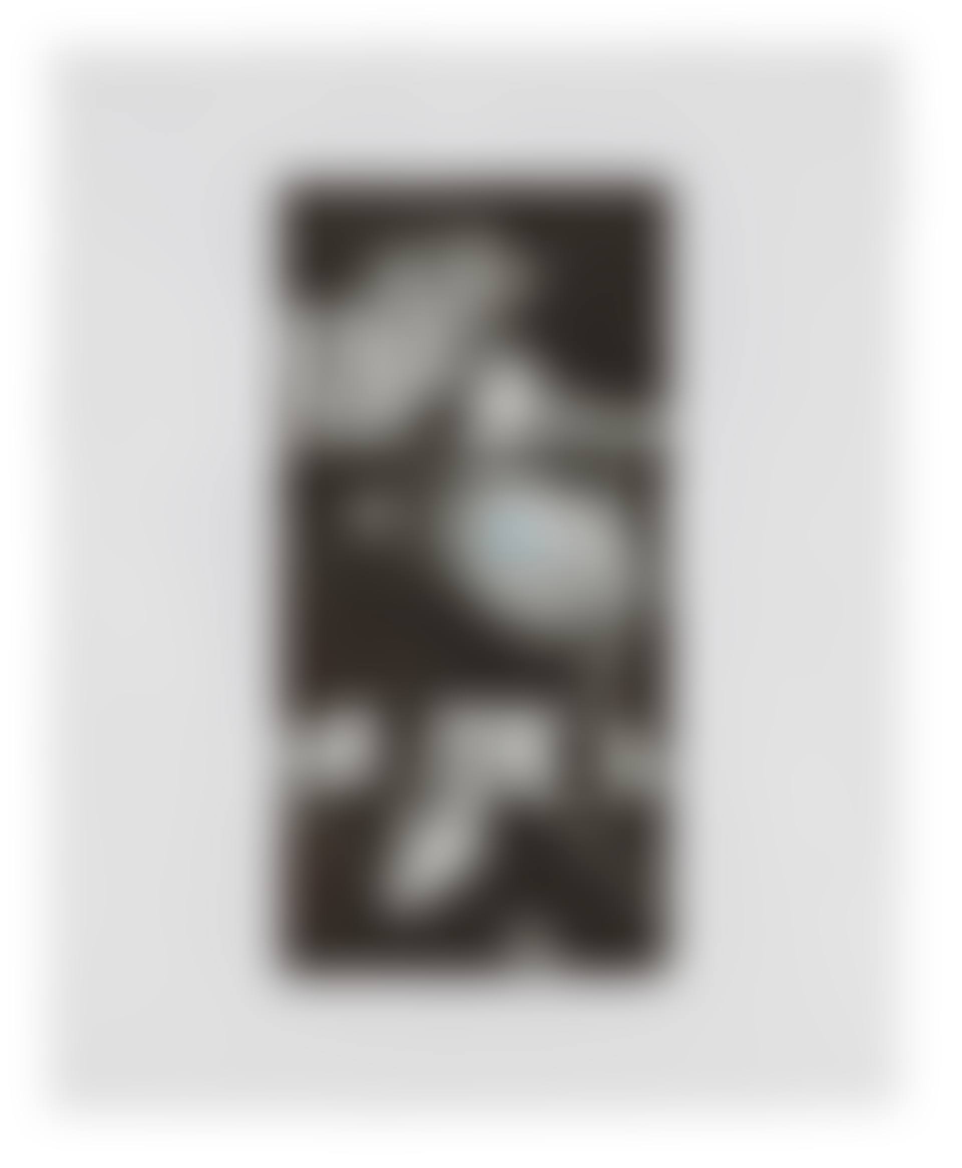 Zorro (Two Gestures and One Mark) (preview)