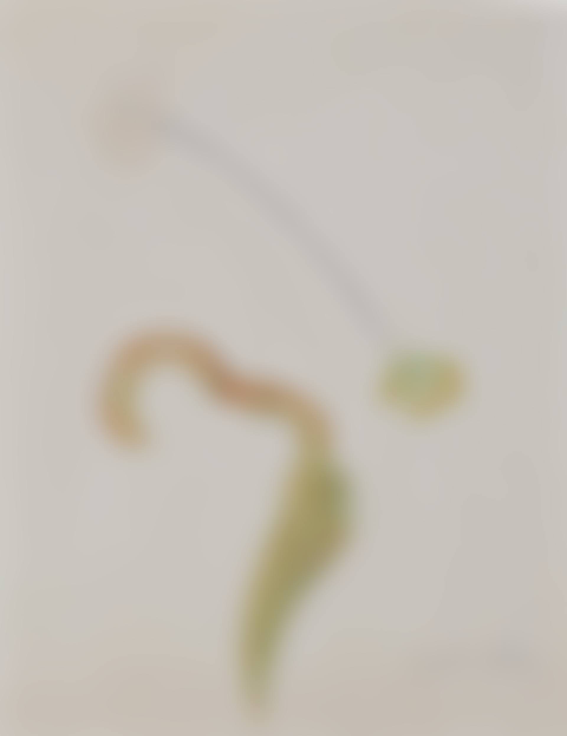 Tropical Flower with Azalea (preview)