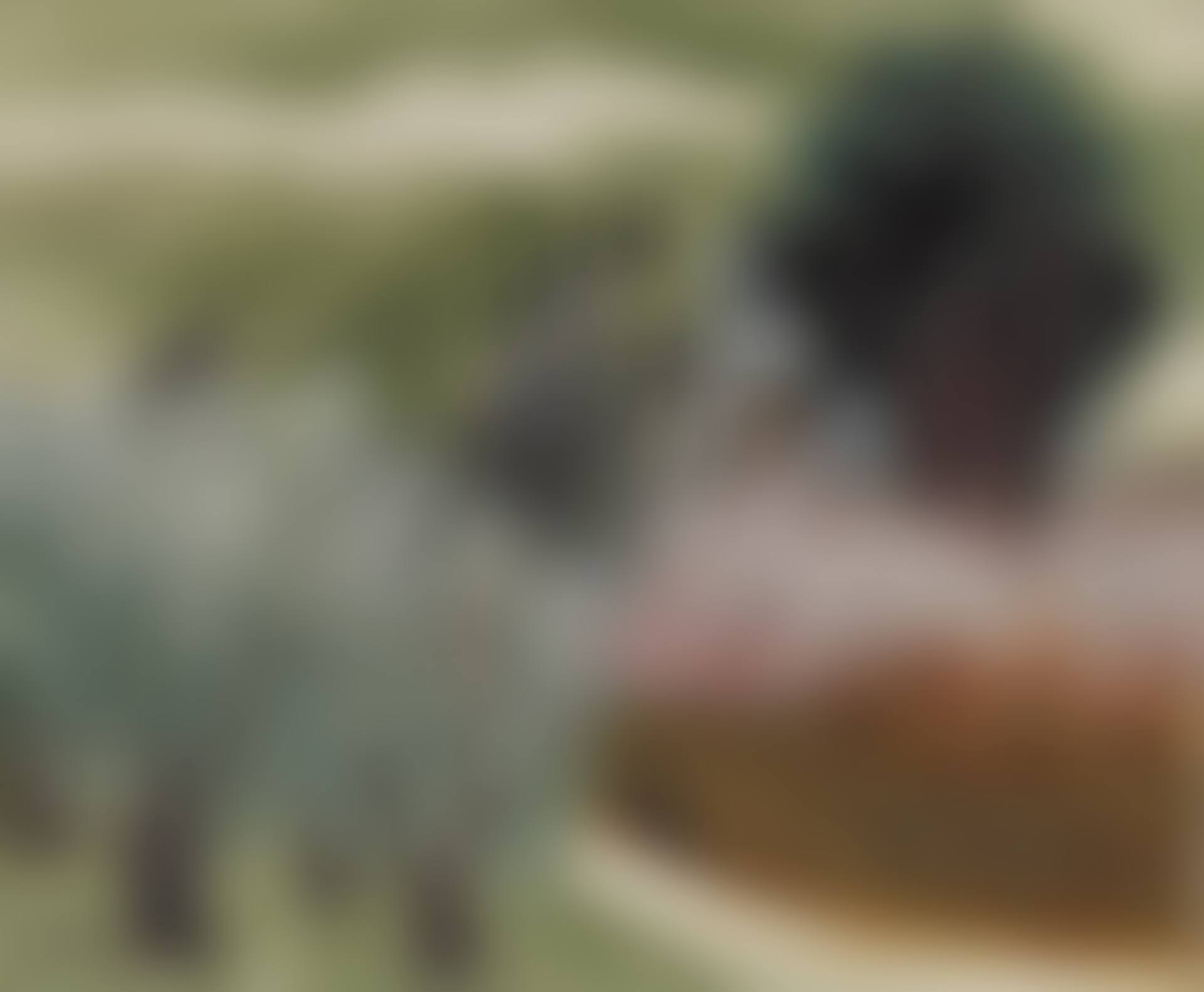 Abu Gosh (preview)