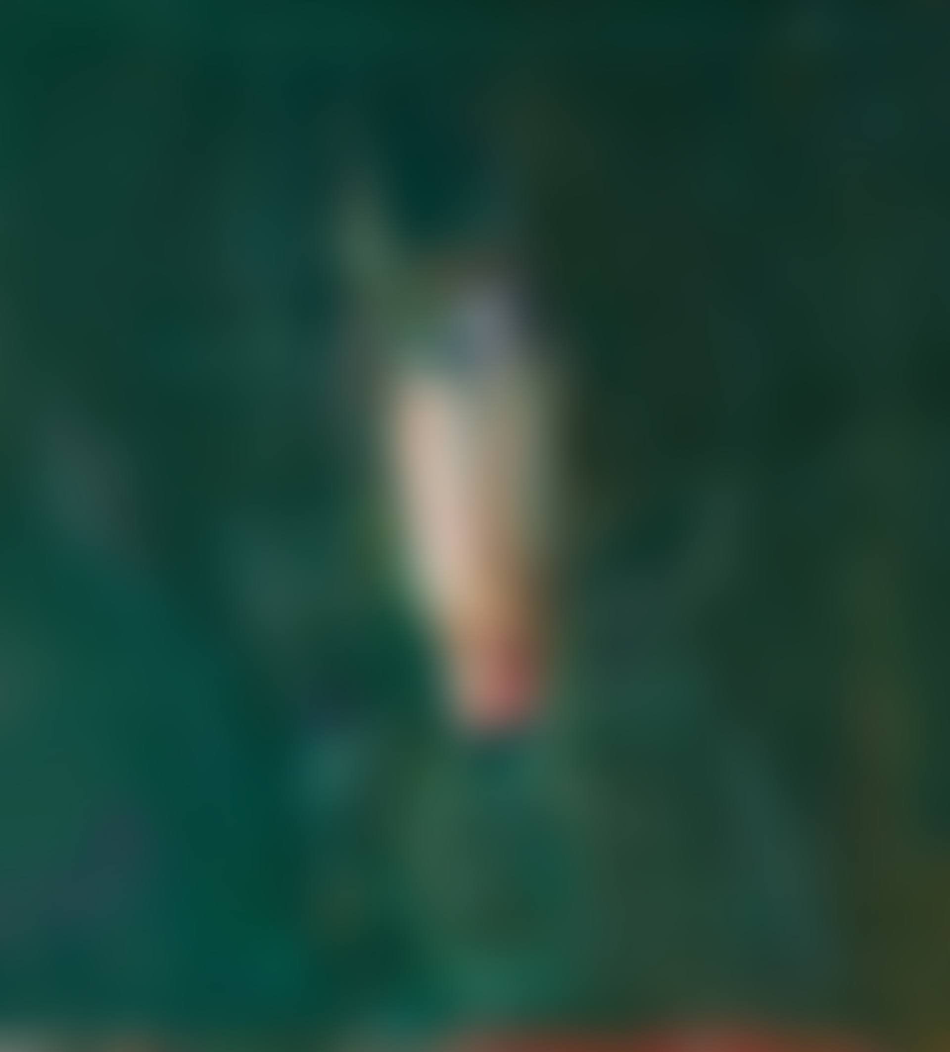 Horse's Head (preview)