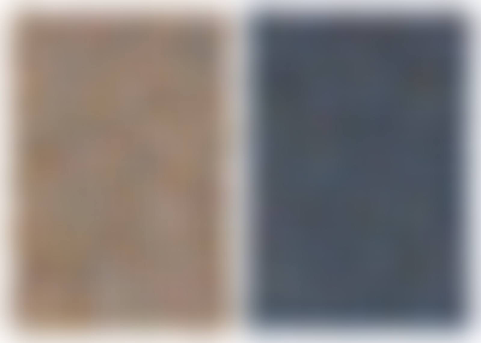 Internal Rhythm 201418, 201419 (2 works) (preview)