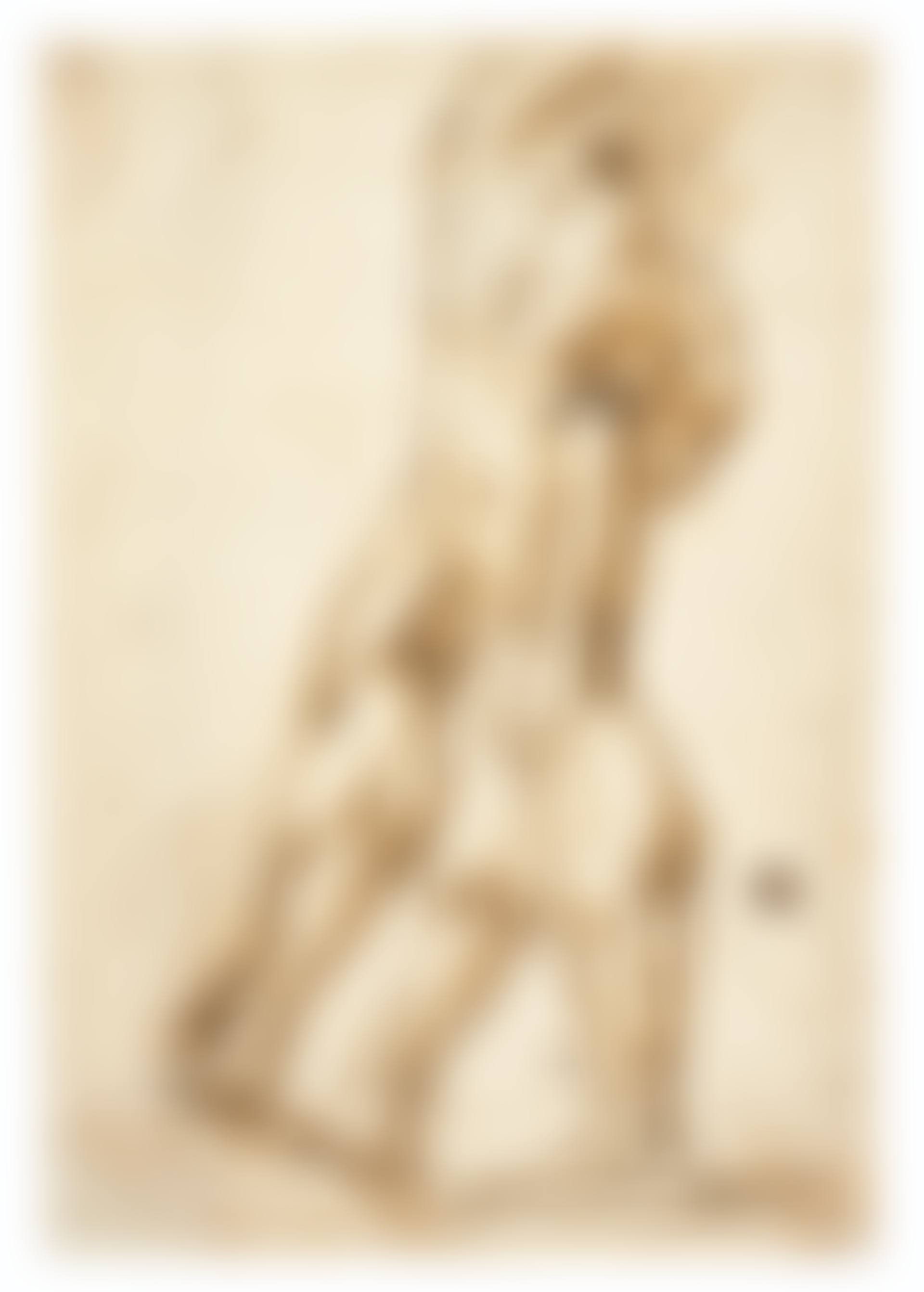 An écorché study of the legs of a male nude, with a study of the right leg (recto); Sketch of the muscle of a leg (verso) (preview)