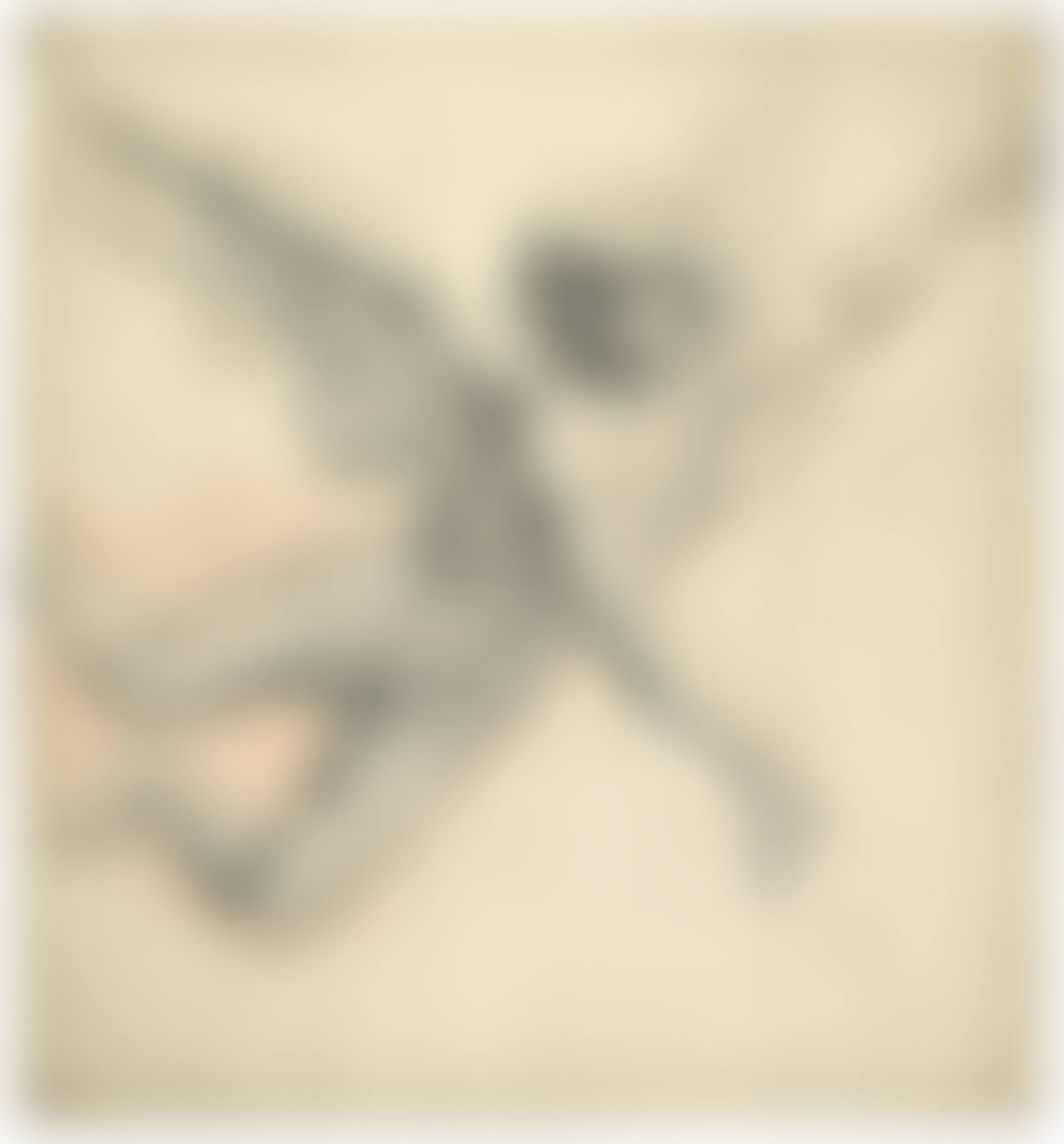 An angel in flight (preview)