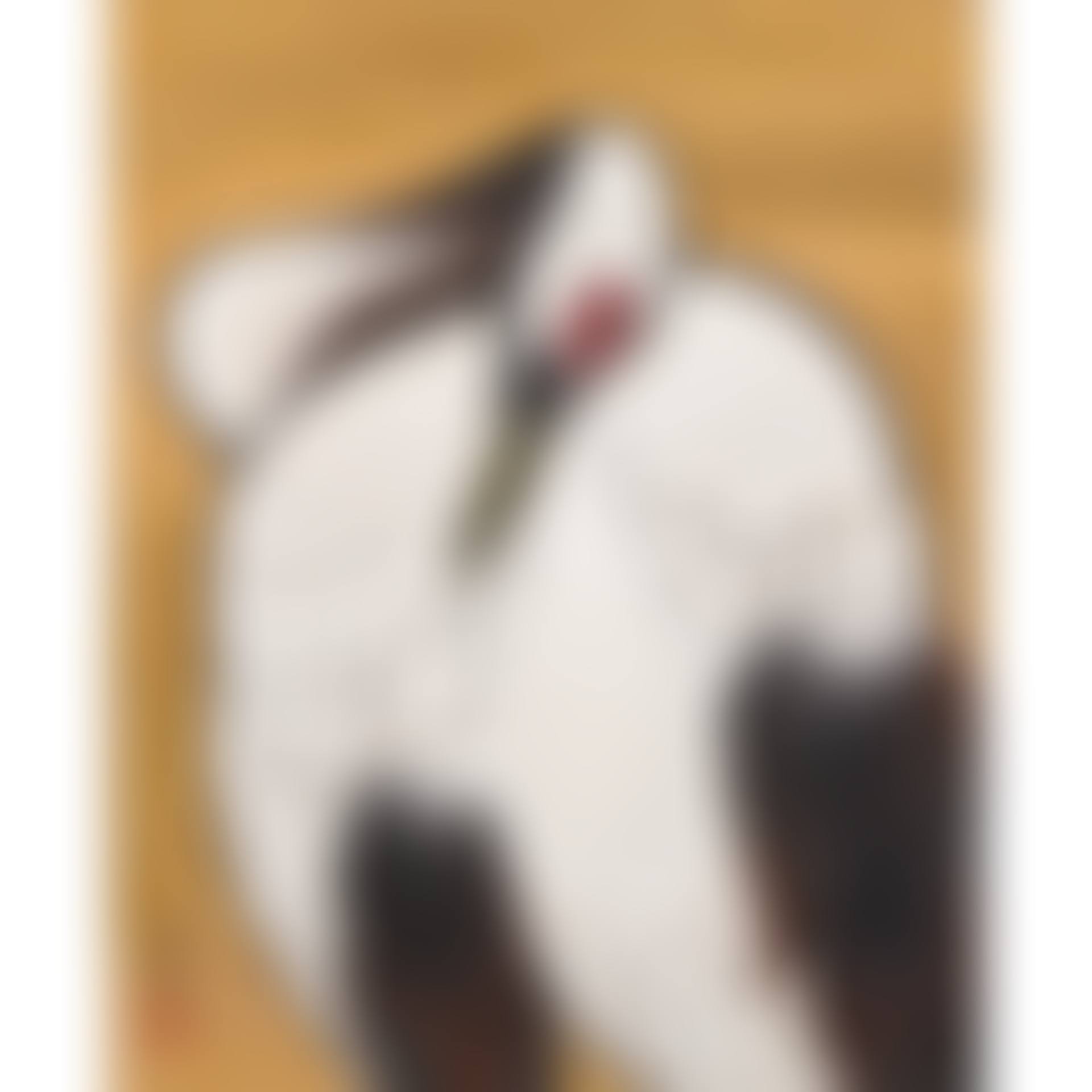 CRANE (preview)