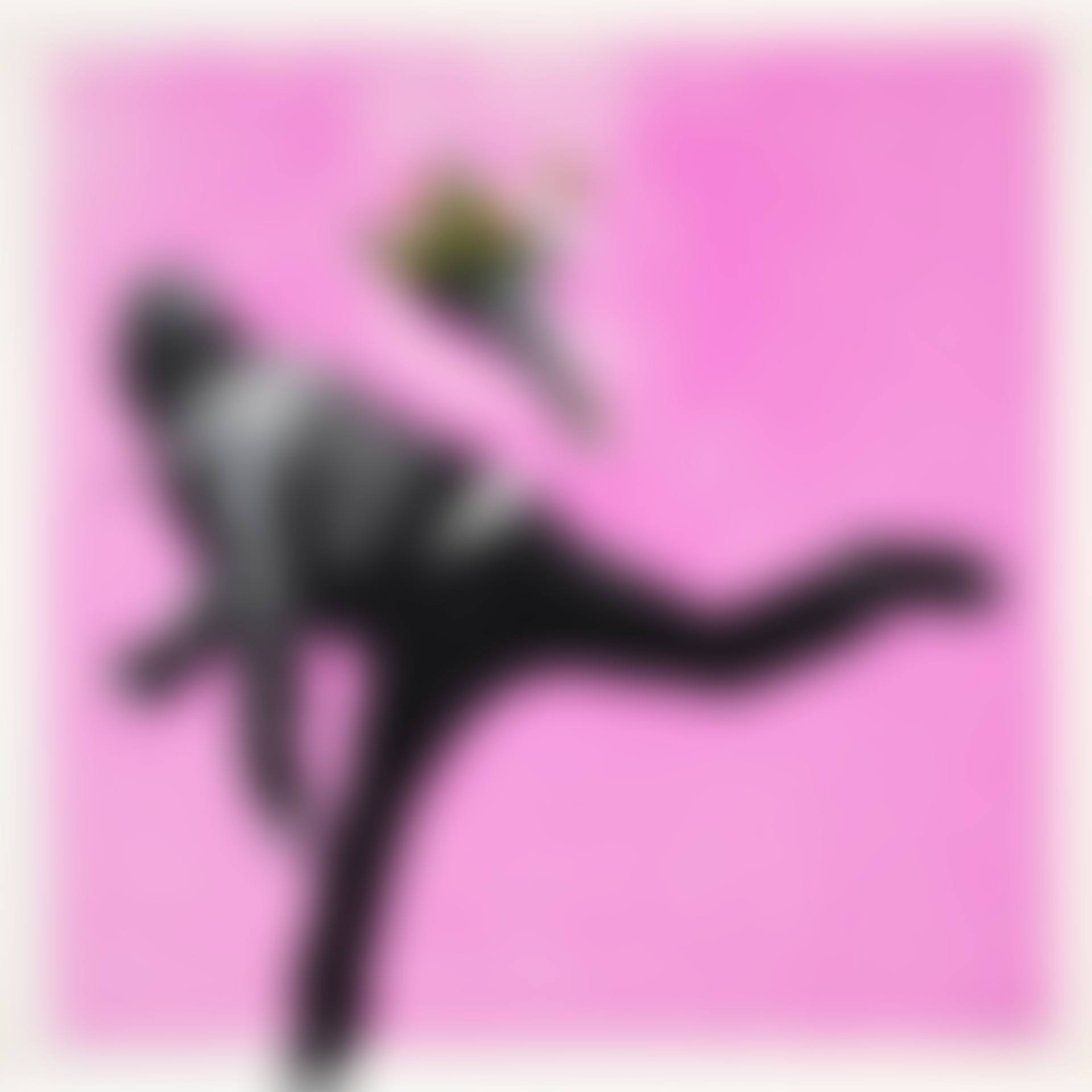 Love Riot (Pink); Love Riot (Blue) (2 works) (preview)