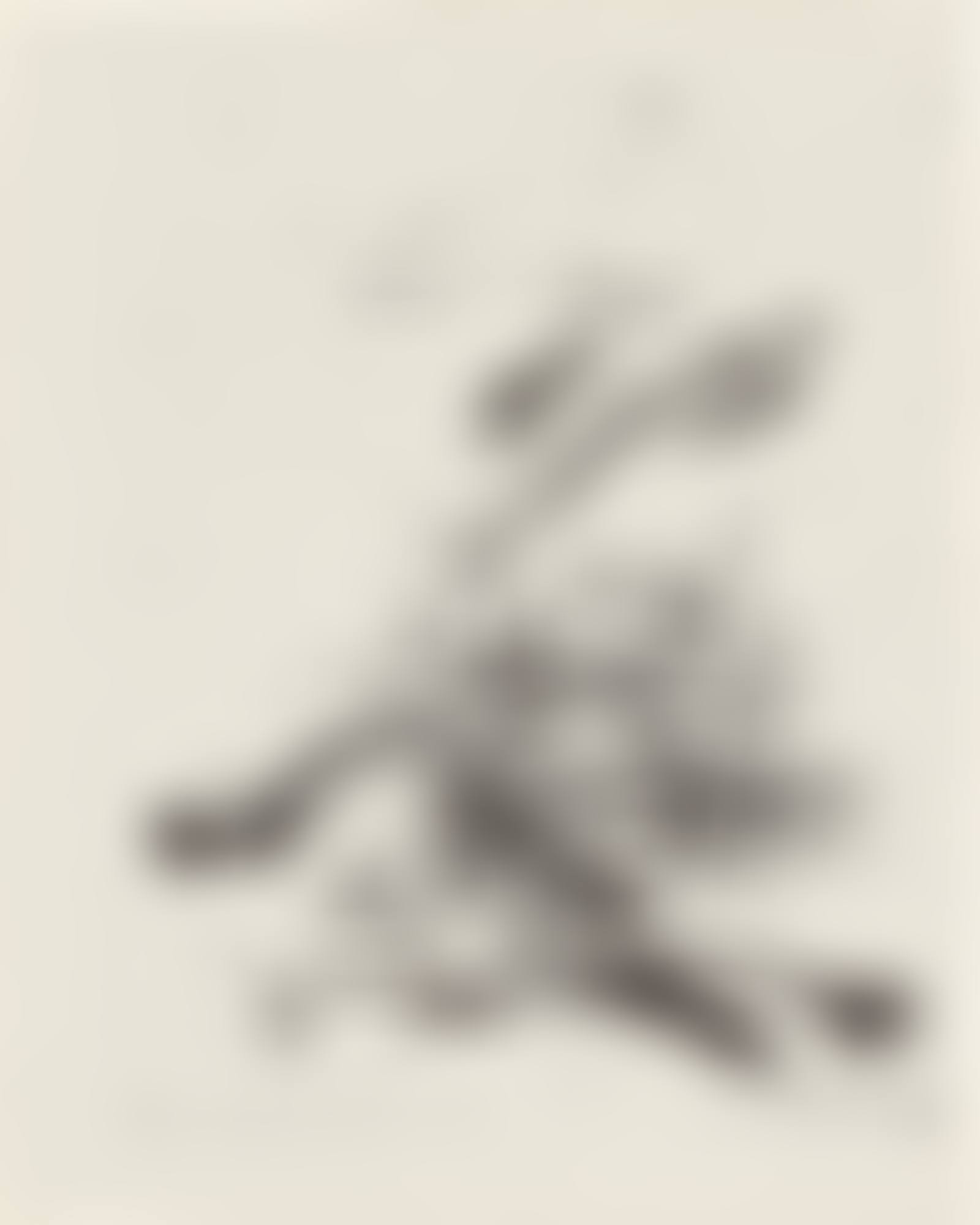 Epitaph Karl Amadeus Hartmann (preview)