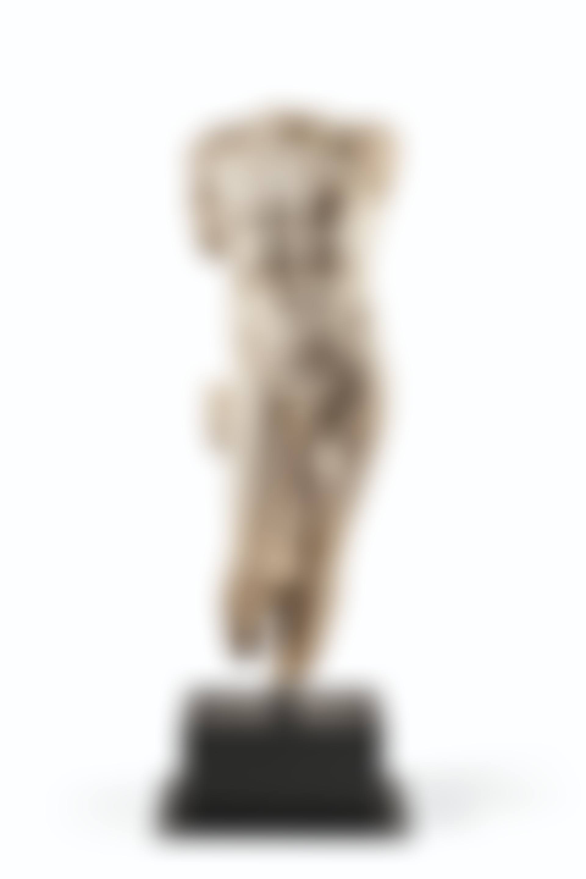 A MARBLE TORSO OF A MAN (preview)