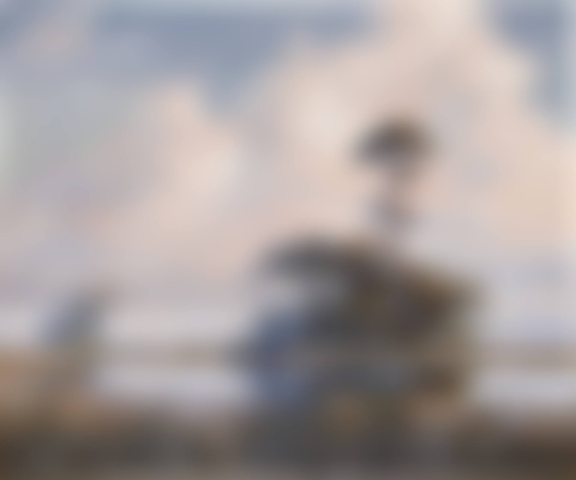 Everglades Dawn (preview)