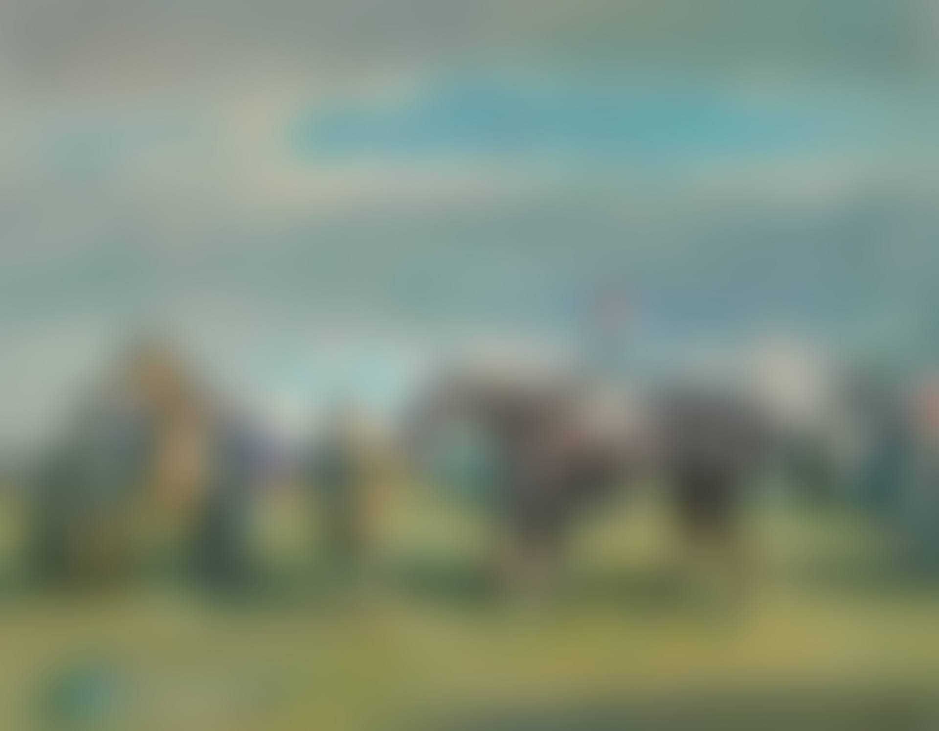 After the Race, Cheltenham (preview)