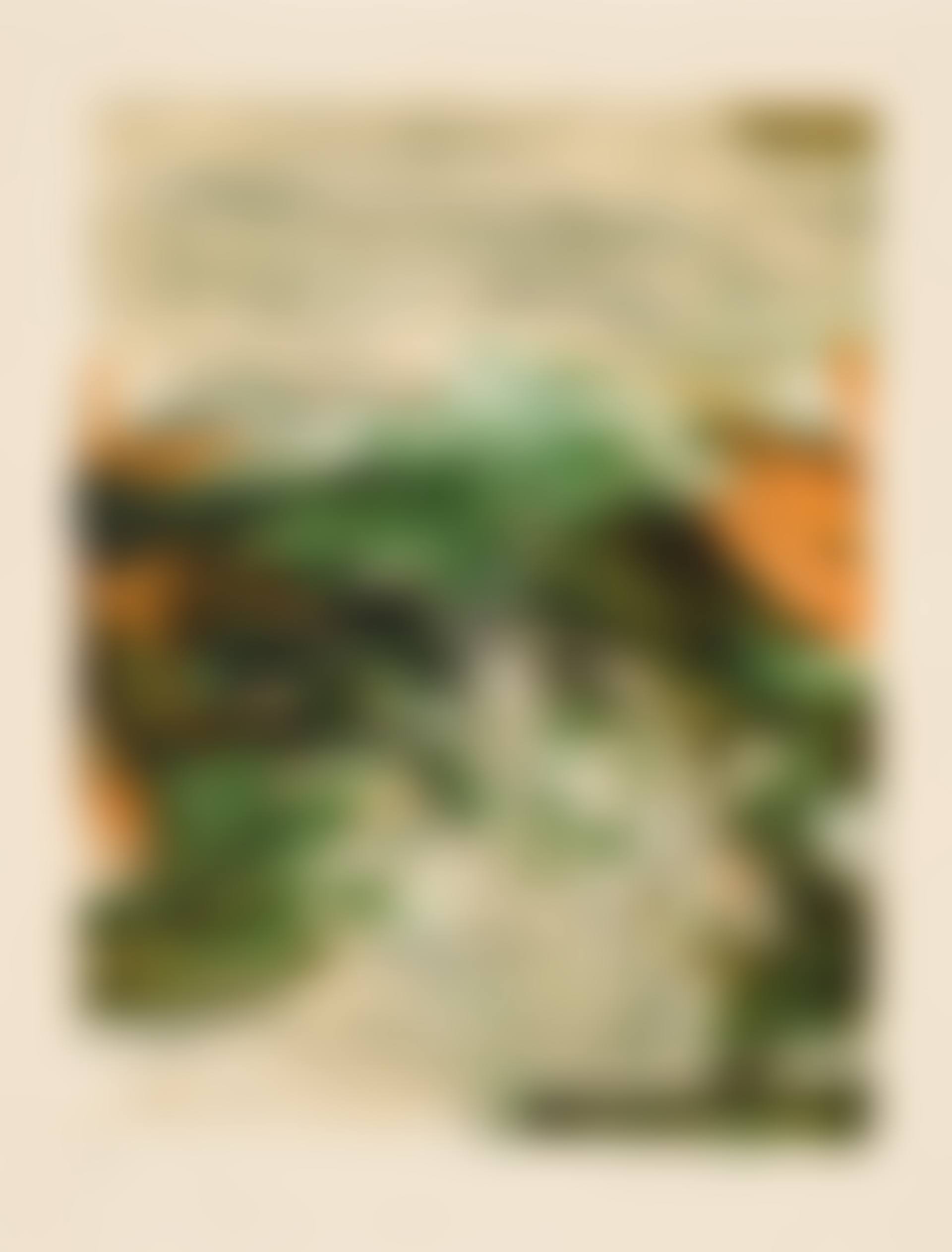 Composition (preview)