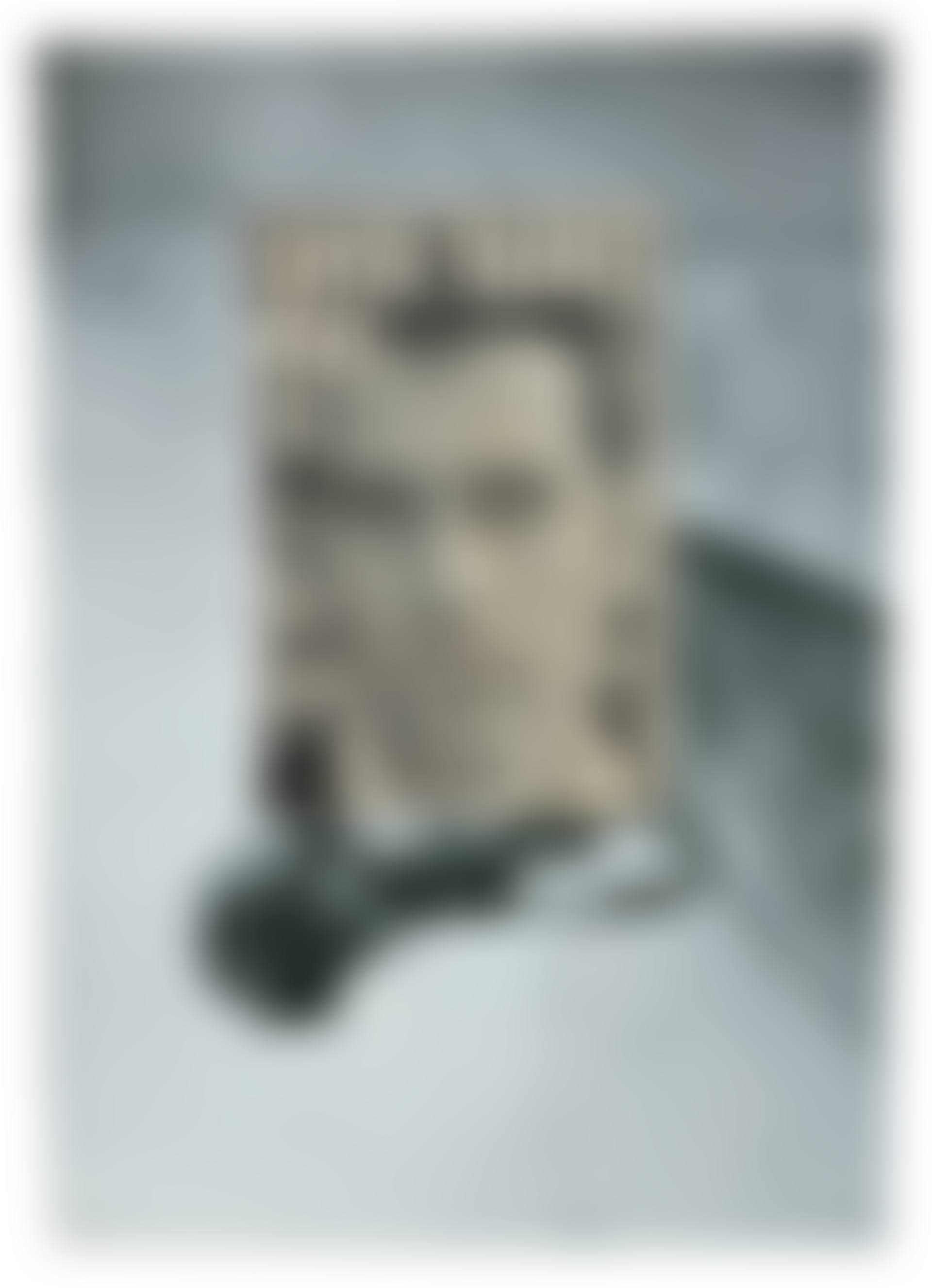 Untitled (preview)