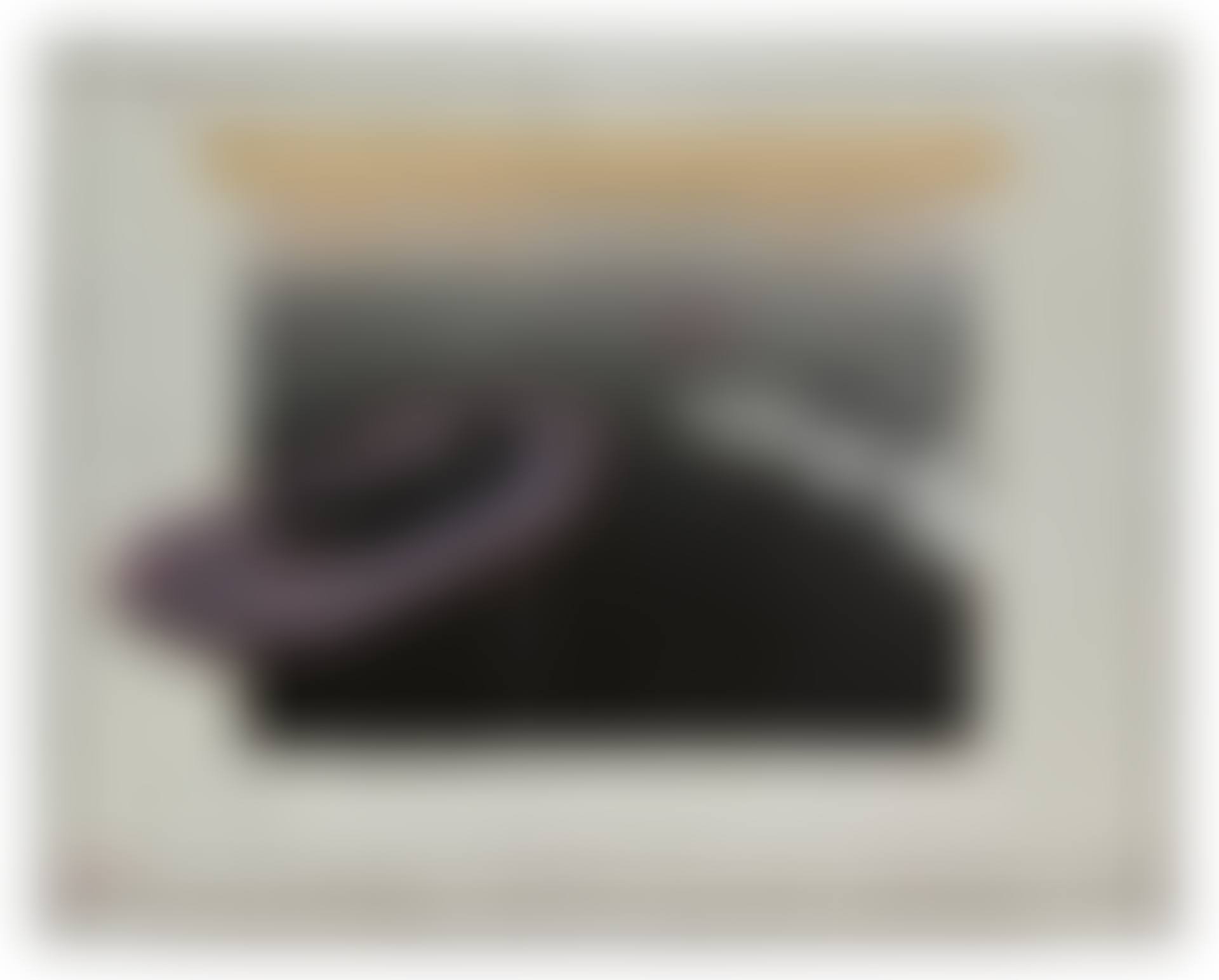 Surrounded Islands (Project for Biscayne Bay, Greater Miami, Florida) (preview)