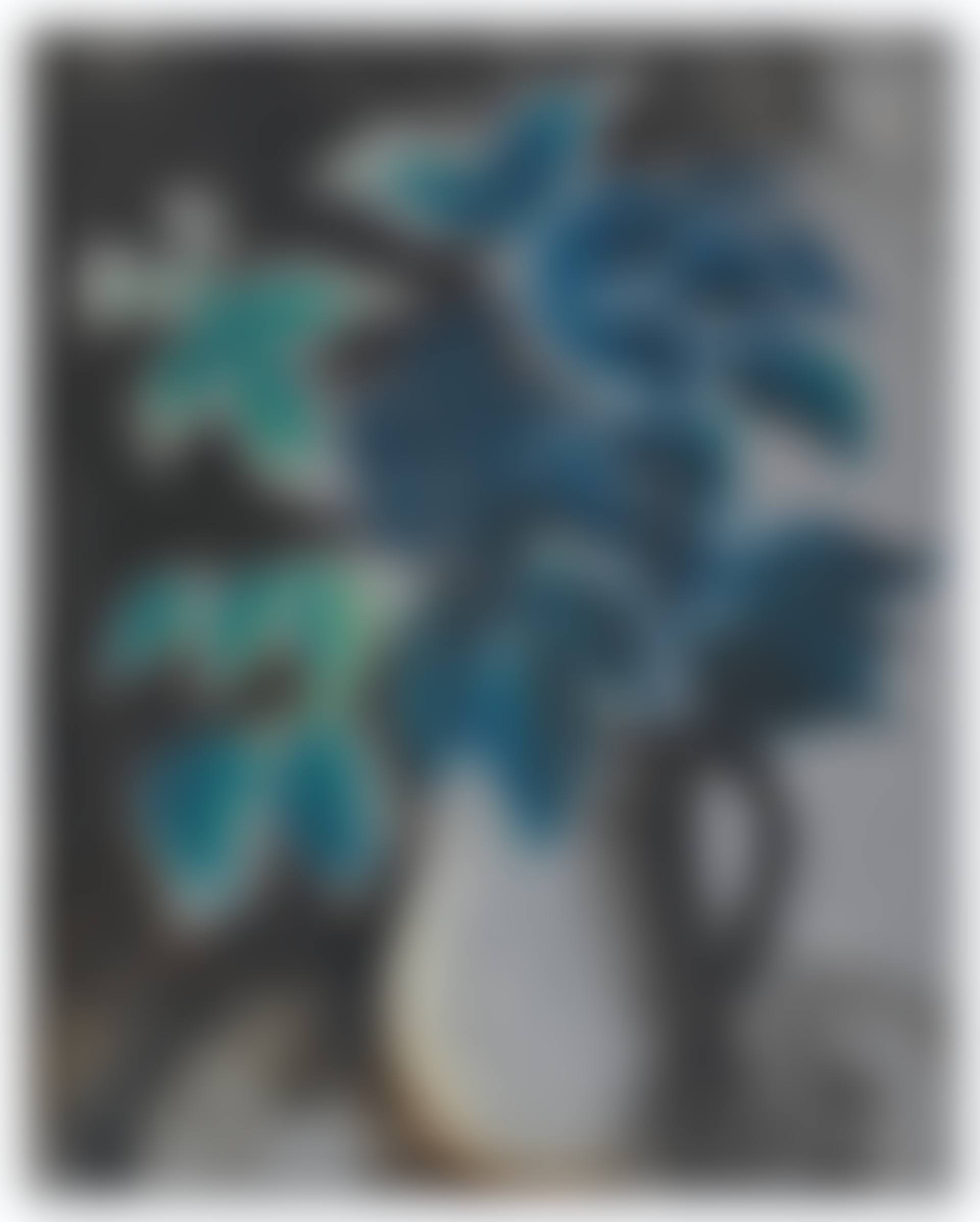 La plante (preview)