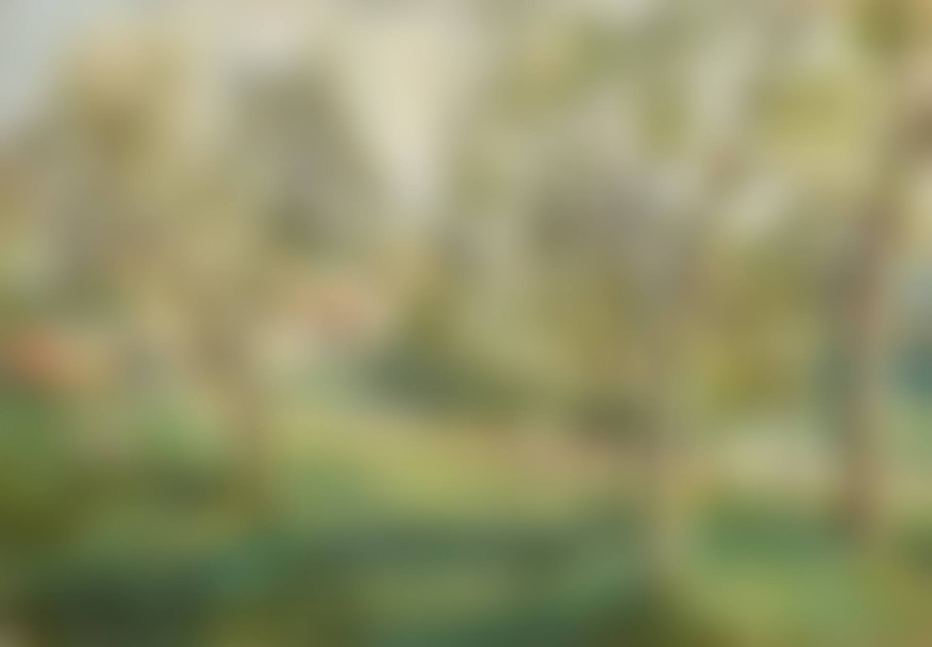 Vezillon, arbres en fleurs au printemps (preview)
